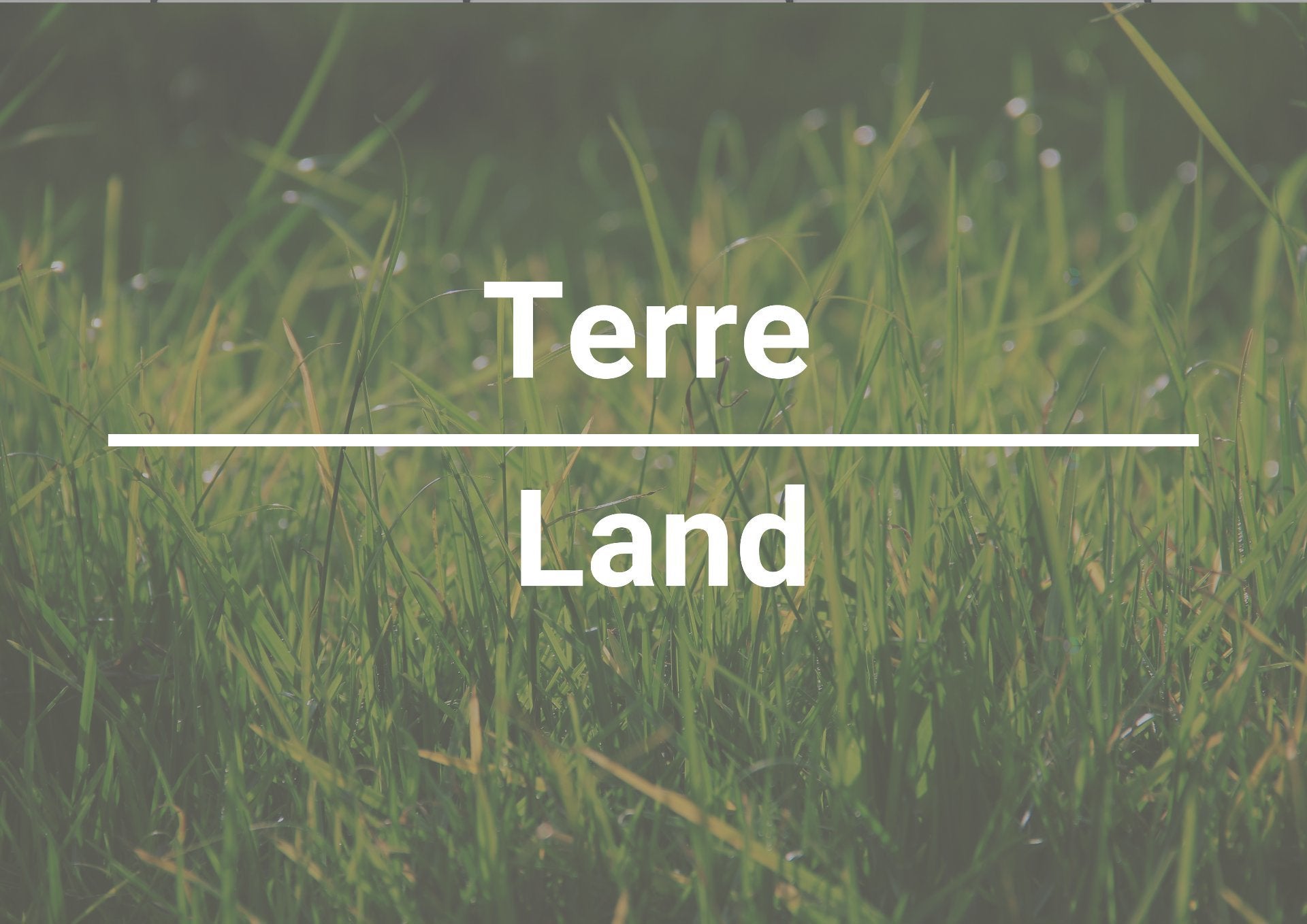 Lakefront opportunity