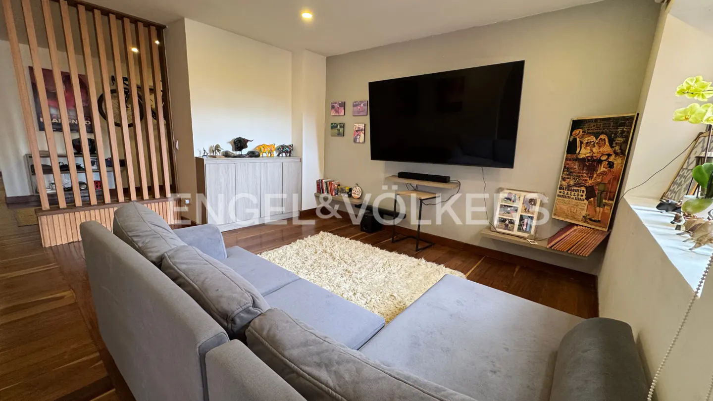 Living room with gray sectional sofa, wood floors, and a large TV. A white shag rug sits in front of the sofa. The room is decorated with art and plants.