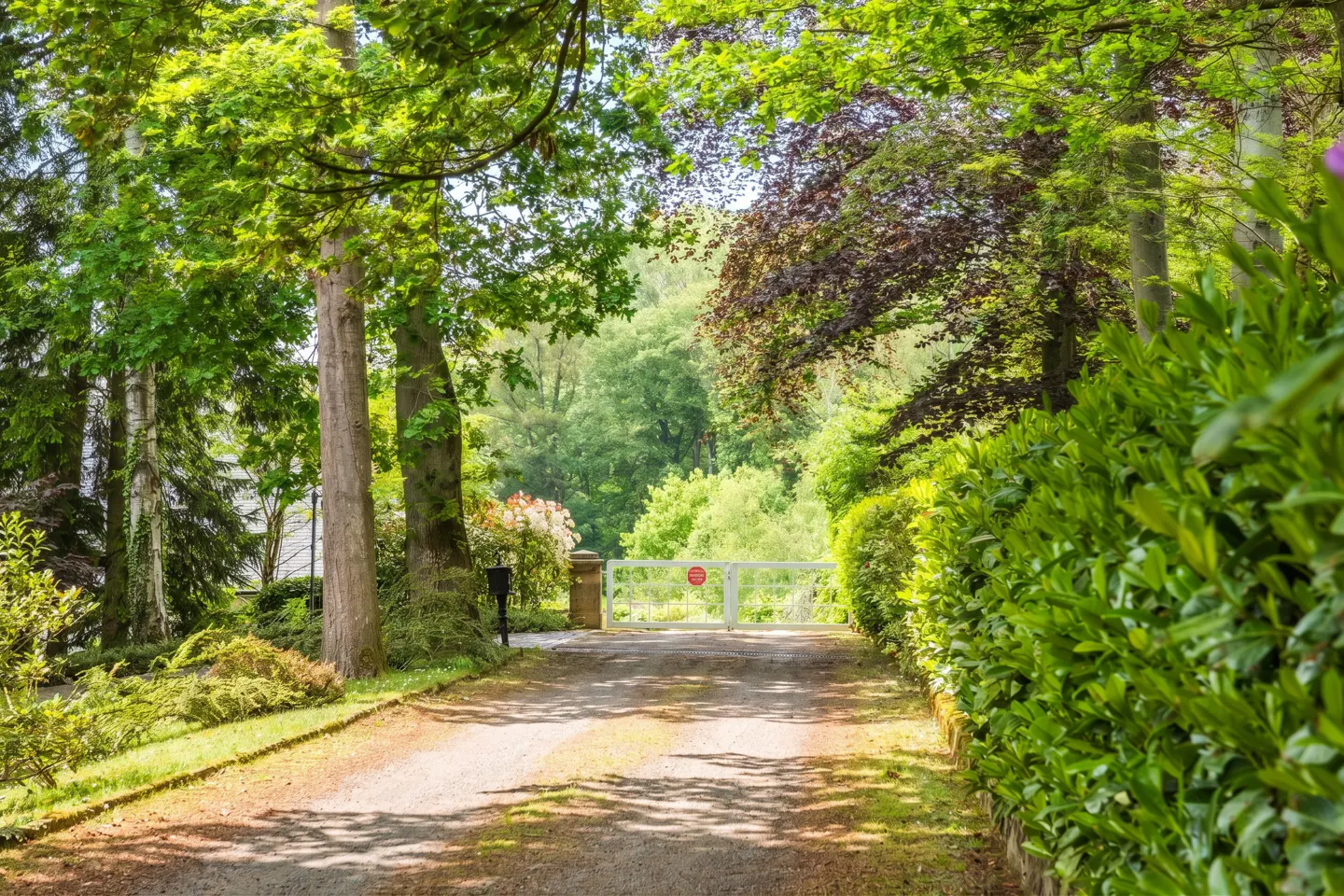 Gravel driveway leads to a white gate with a red sign, surrounded by green trees and bushes.
