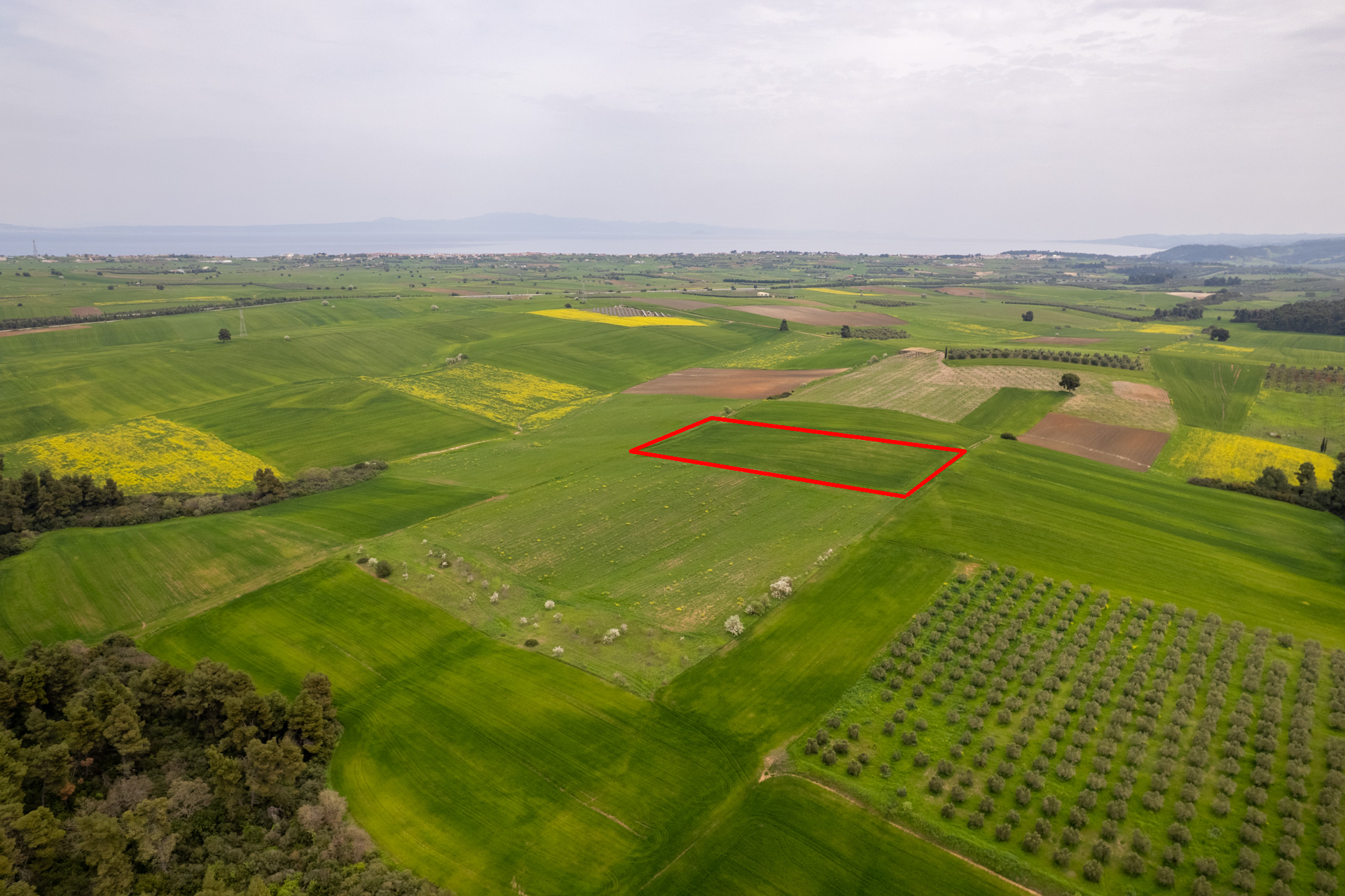 Investment Plot with Building Potential