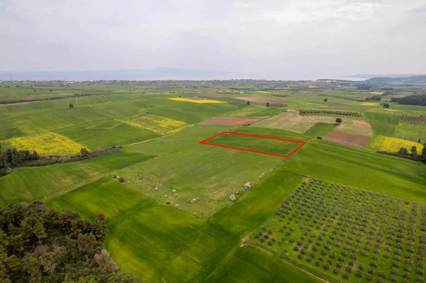 Aerial view of a green field with a red outline, indicating a plot of land for sale. Yellow flowers and trees dot the landscape.