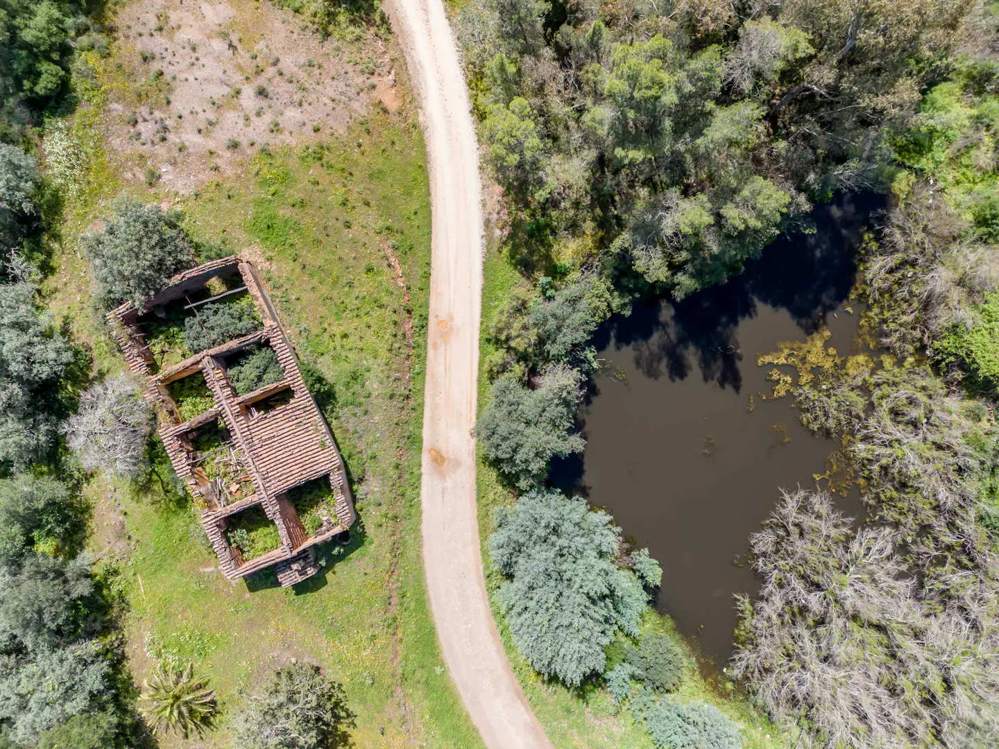 Aerial view of a property with a dirt road, pond, trees, and the ruins of a building.