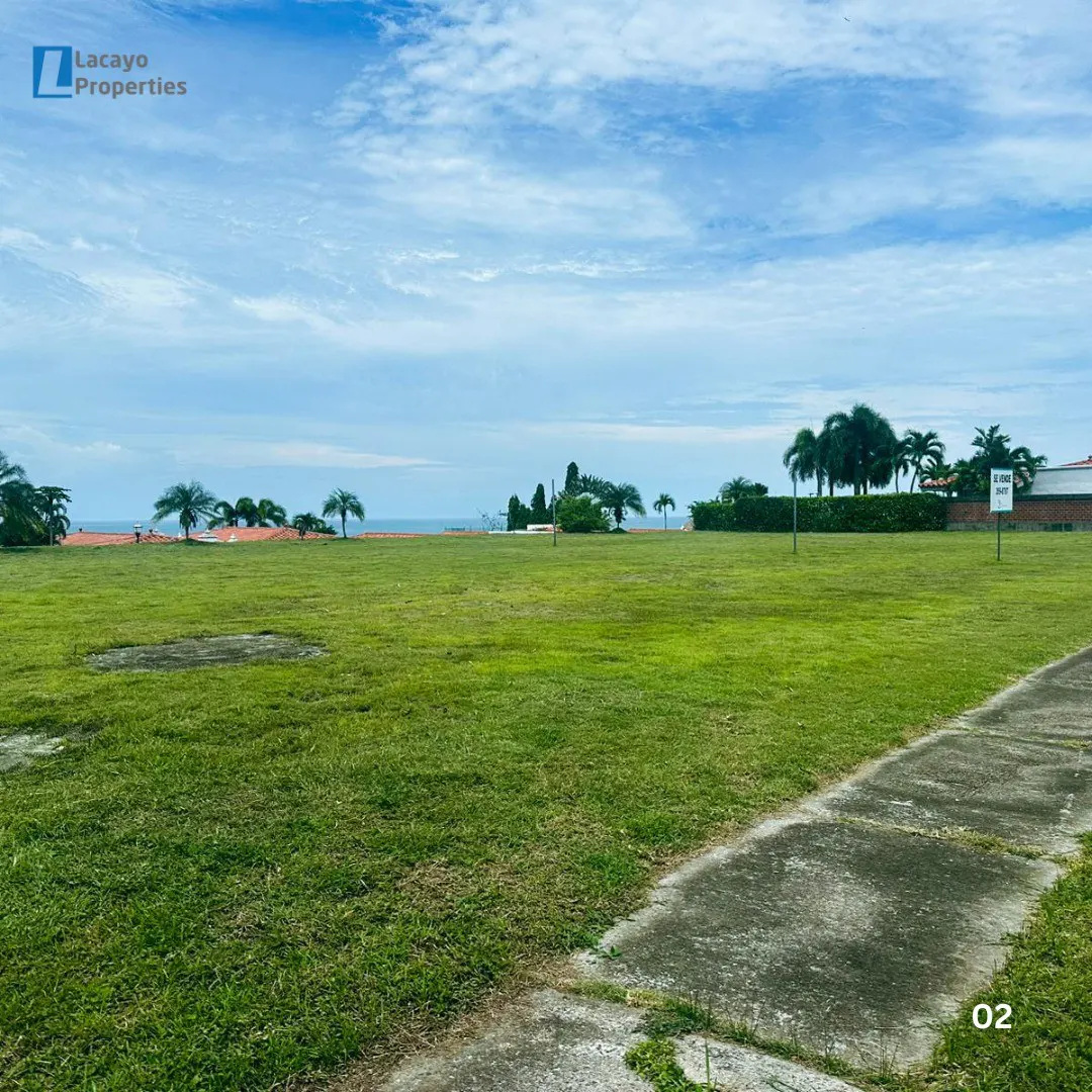 A grassy lot with palm trees under a blue sky, near the ocean.