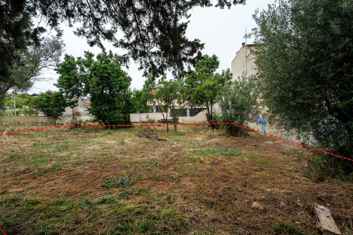 Overgrown lot with trees and a building in the background, marked with a red dotted line.