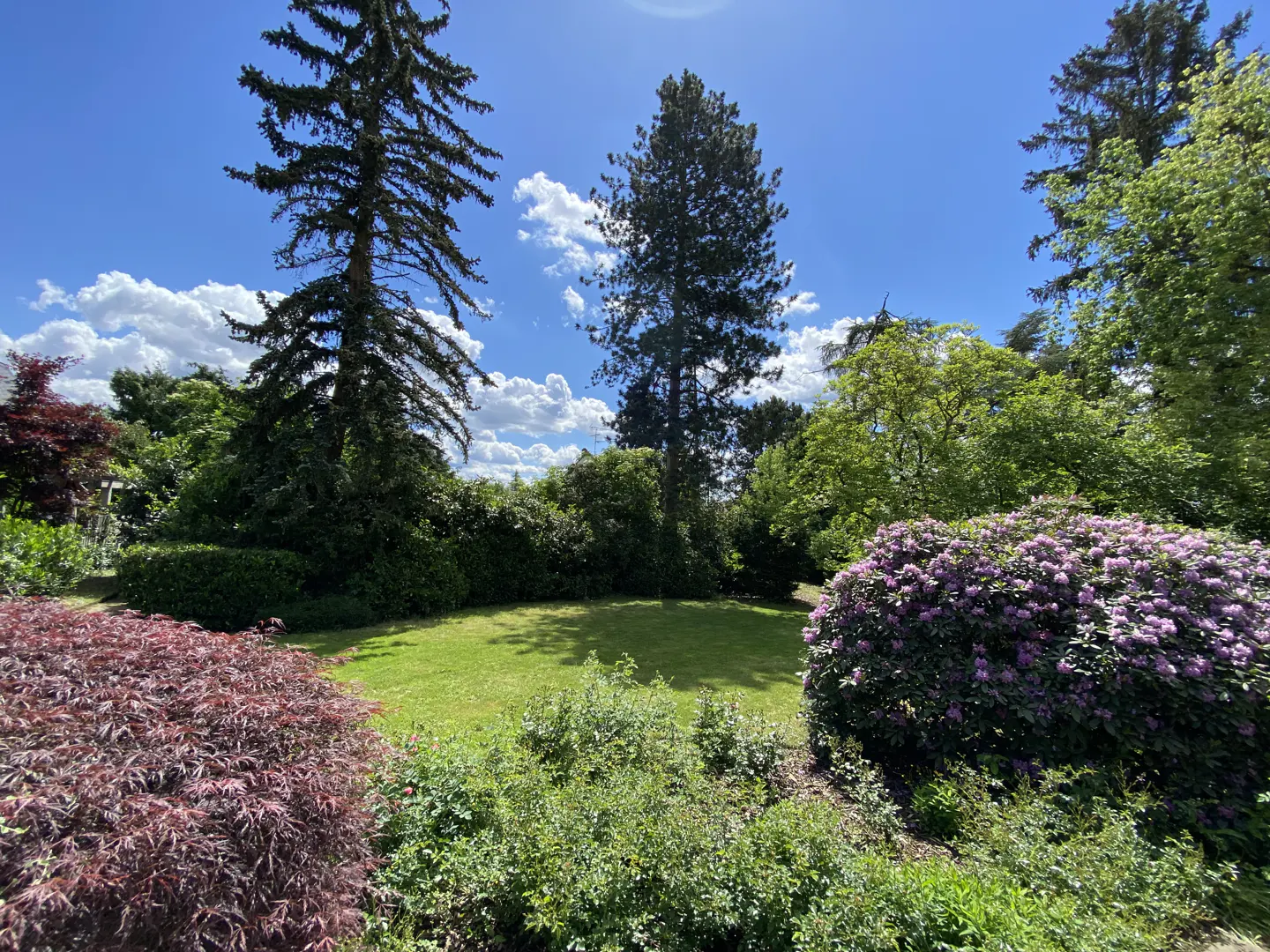 Lush green lawn surrounded by trees and bushes under a blue sky with white clouds.