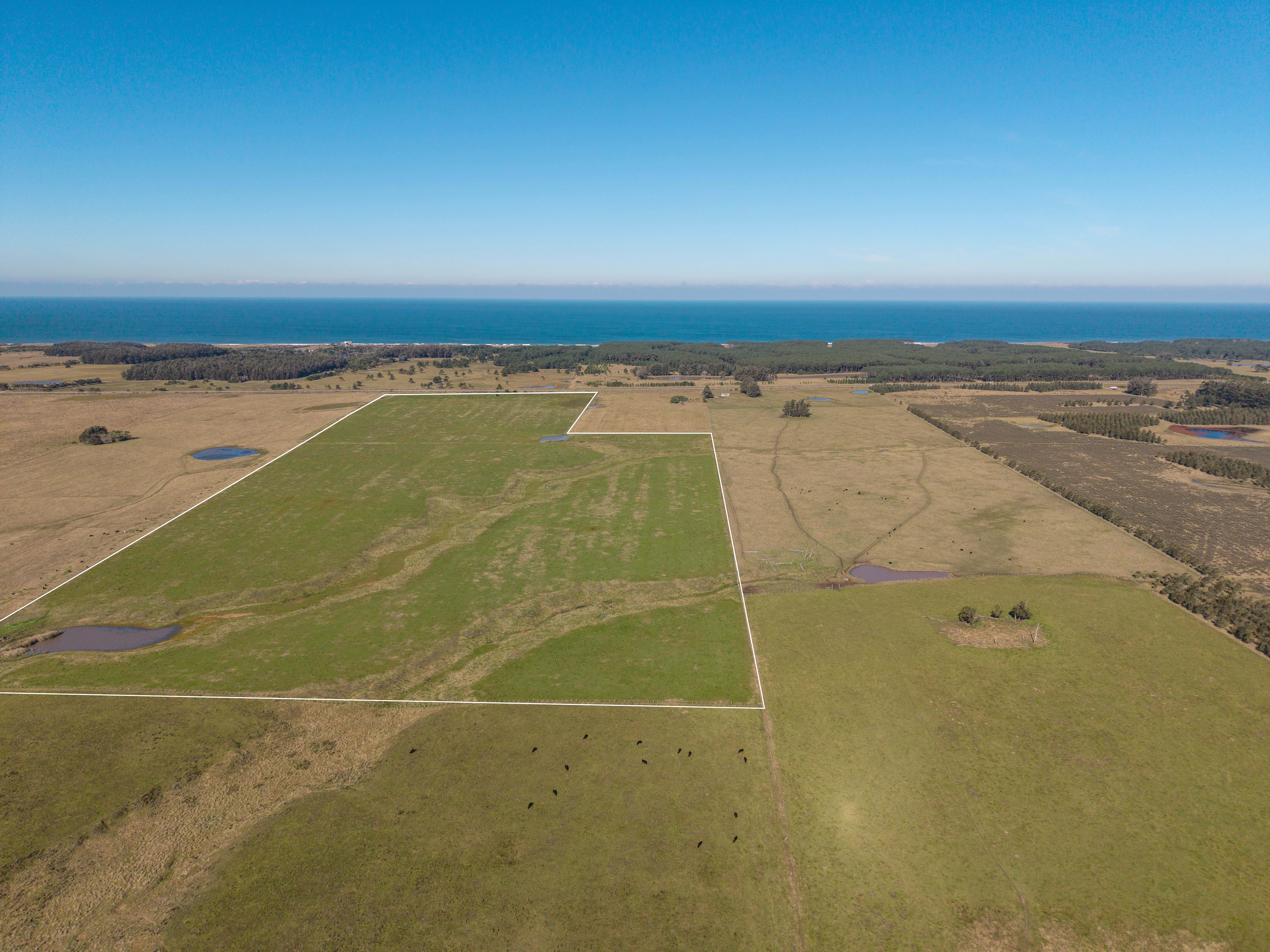 34-hectare farm on Route 10, minutes from José Ignacio