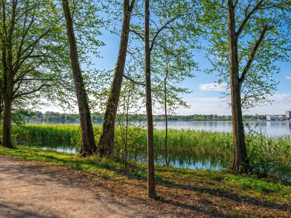 A scenic view of a lake framed by trees with green leaves and tall grass on a sunny day.