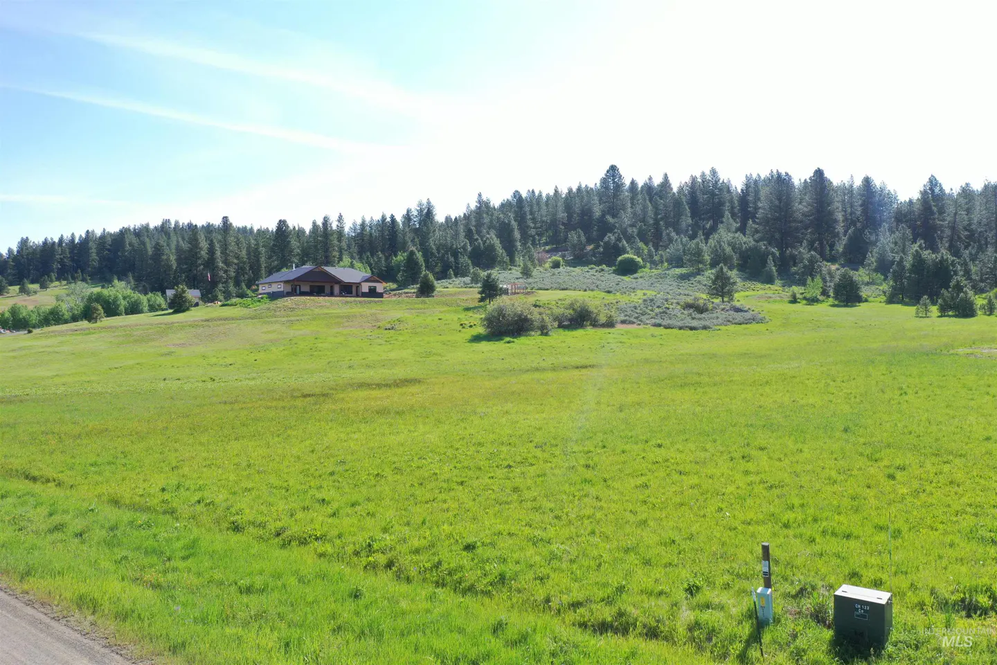 A wide shot of a green field with a house in the background and a forest behind it.