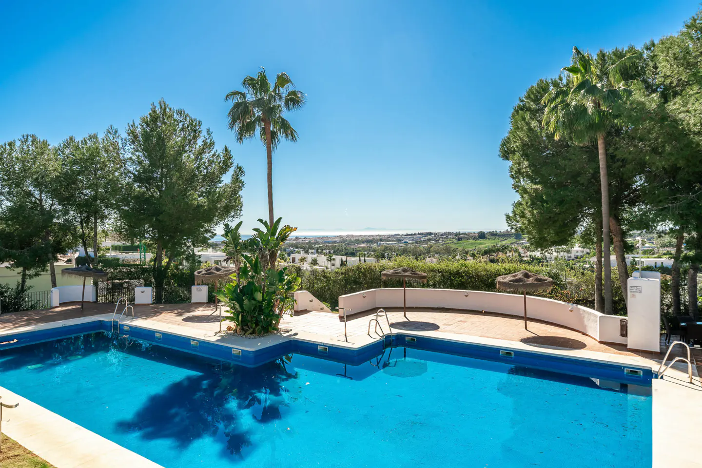 Outdoor pool with turquoise water, palm trees, and green foliage under a clear blue sky. Distant view of buildings and the sea.