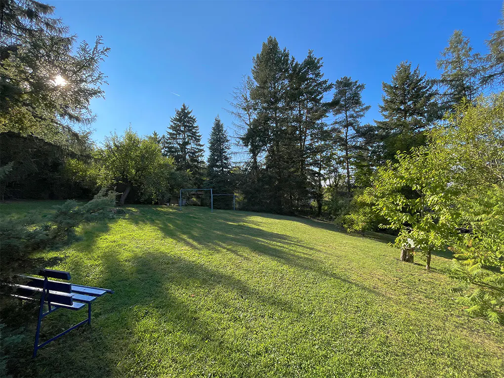 A sunny backyard with green grass, tall trees, and a blue bench in the foreground. A soccer goal is visible in the distance.