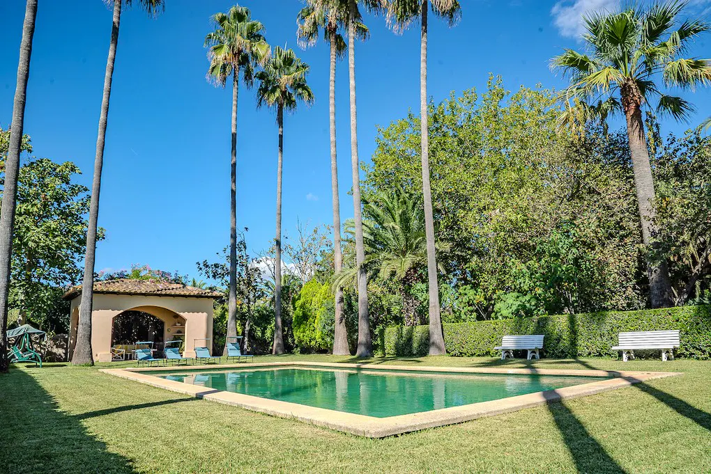 A rectangular pool with turquoise water is surrounded by green grass and tall palm trees under a blue sky.