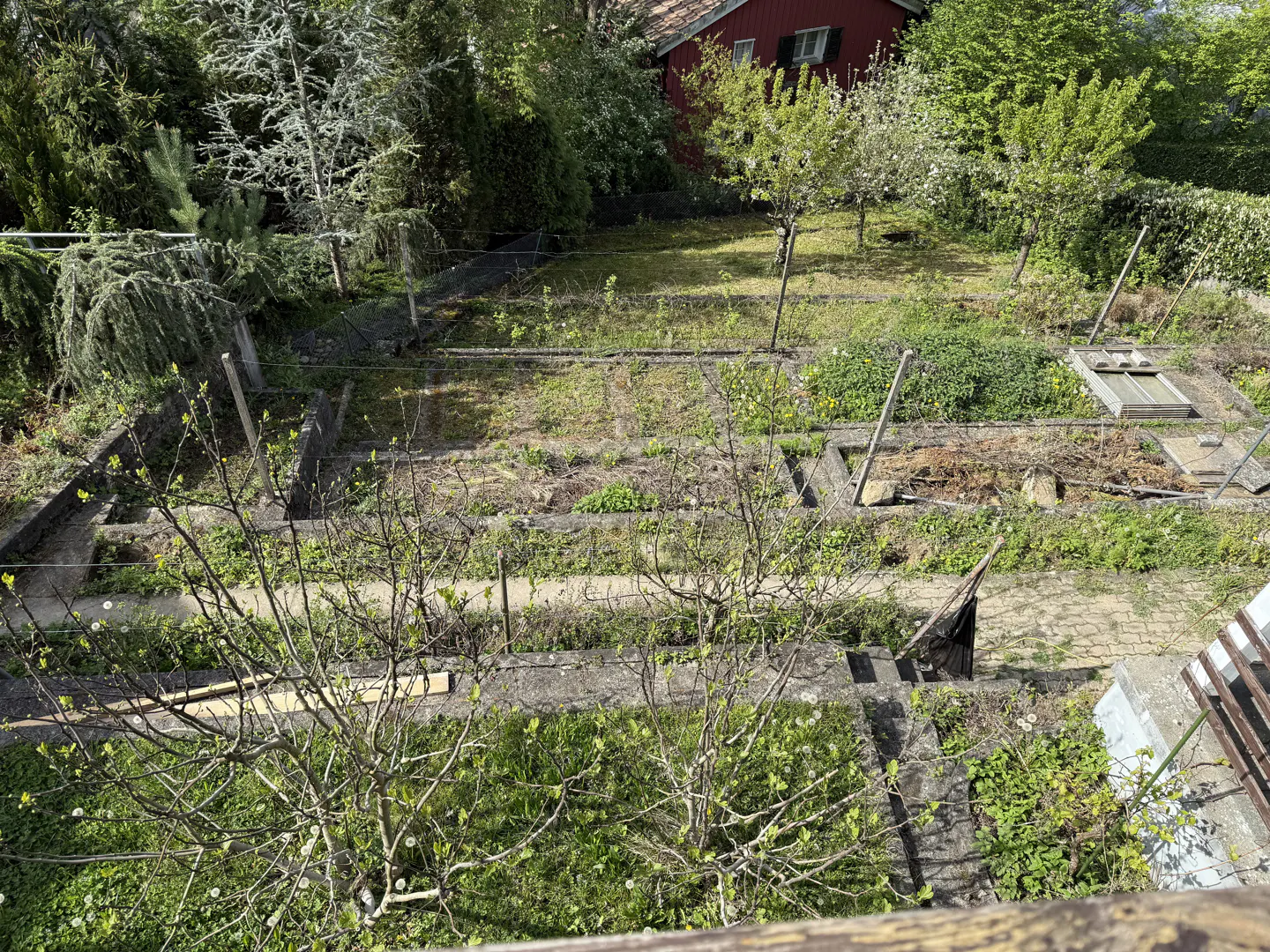 Overhead view of a tiered garden with concrete borders, green plants, and a red house in the background.