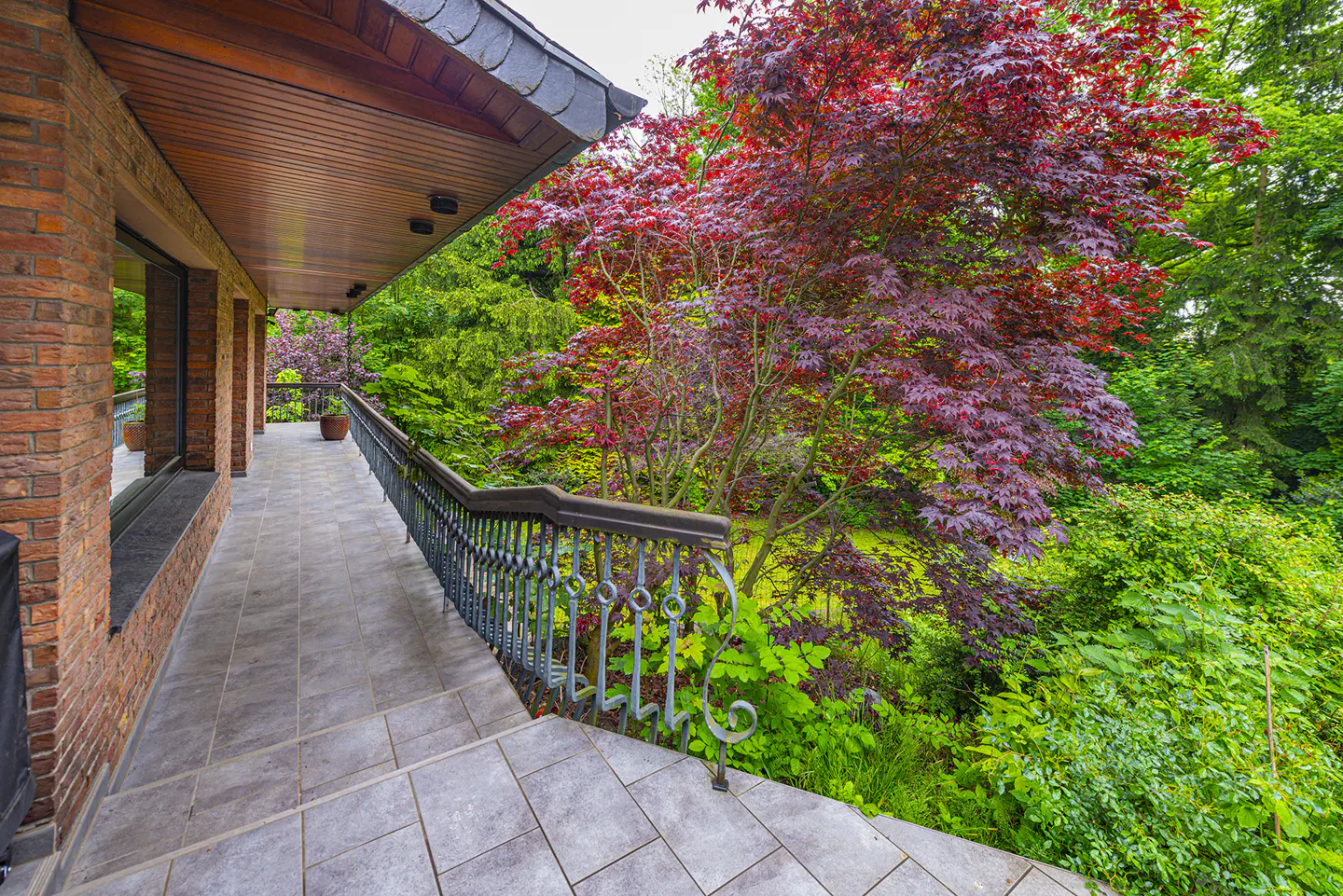 A long, tiled patio with a black metal railing overlooks lush green foliage and a red Japanese maple tree.