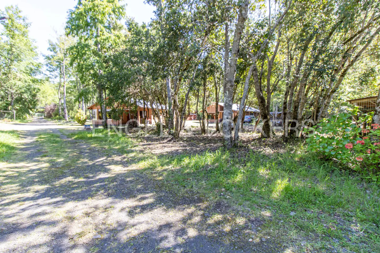 Exterior view of a wooded property with a gravel driveway leading to a rustic, wood-sided house.