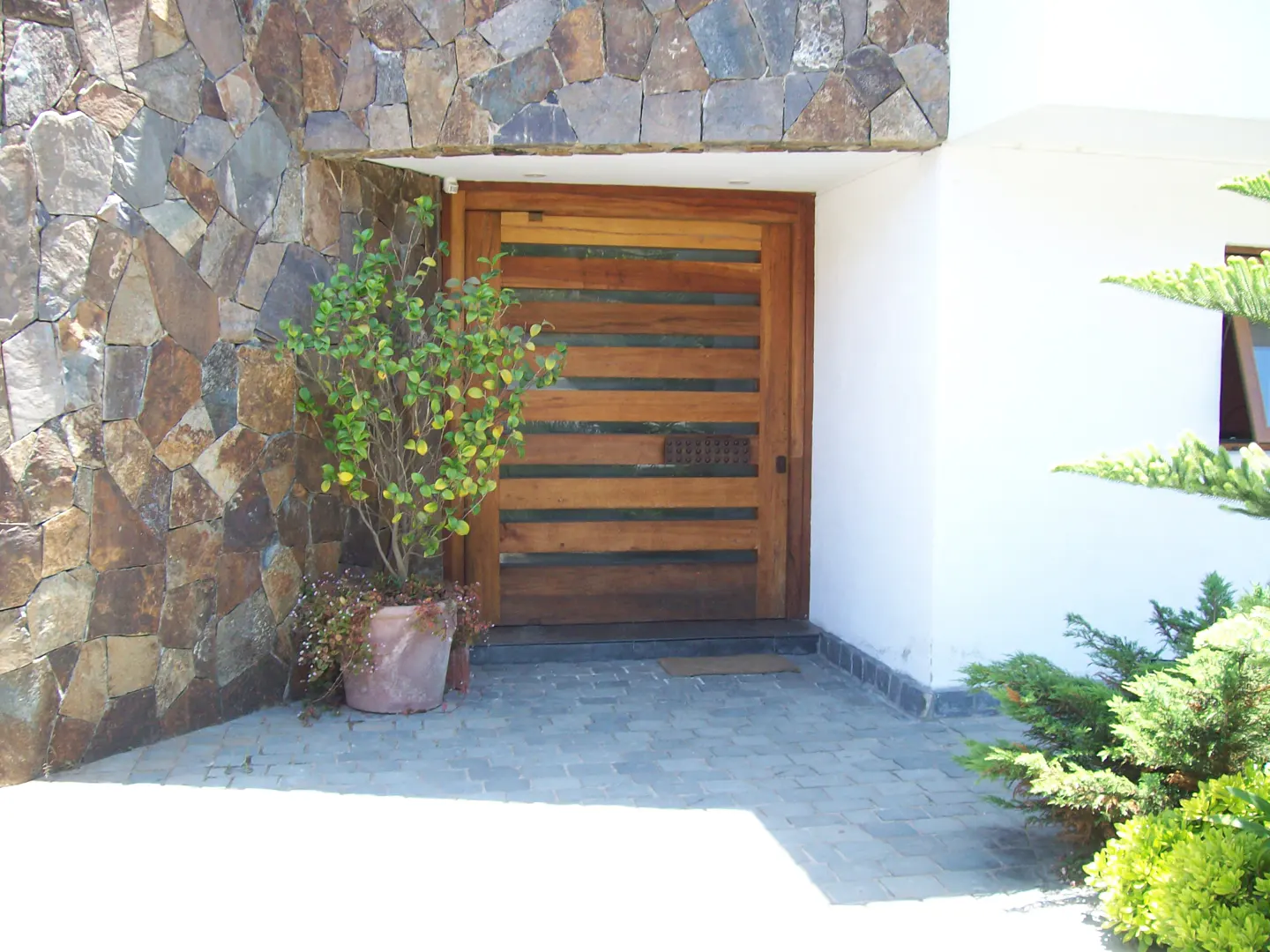 Modern home entrance with a wooden door, stone wall, and potted plant. The walkway is paved with gray stones.