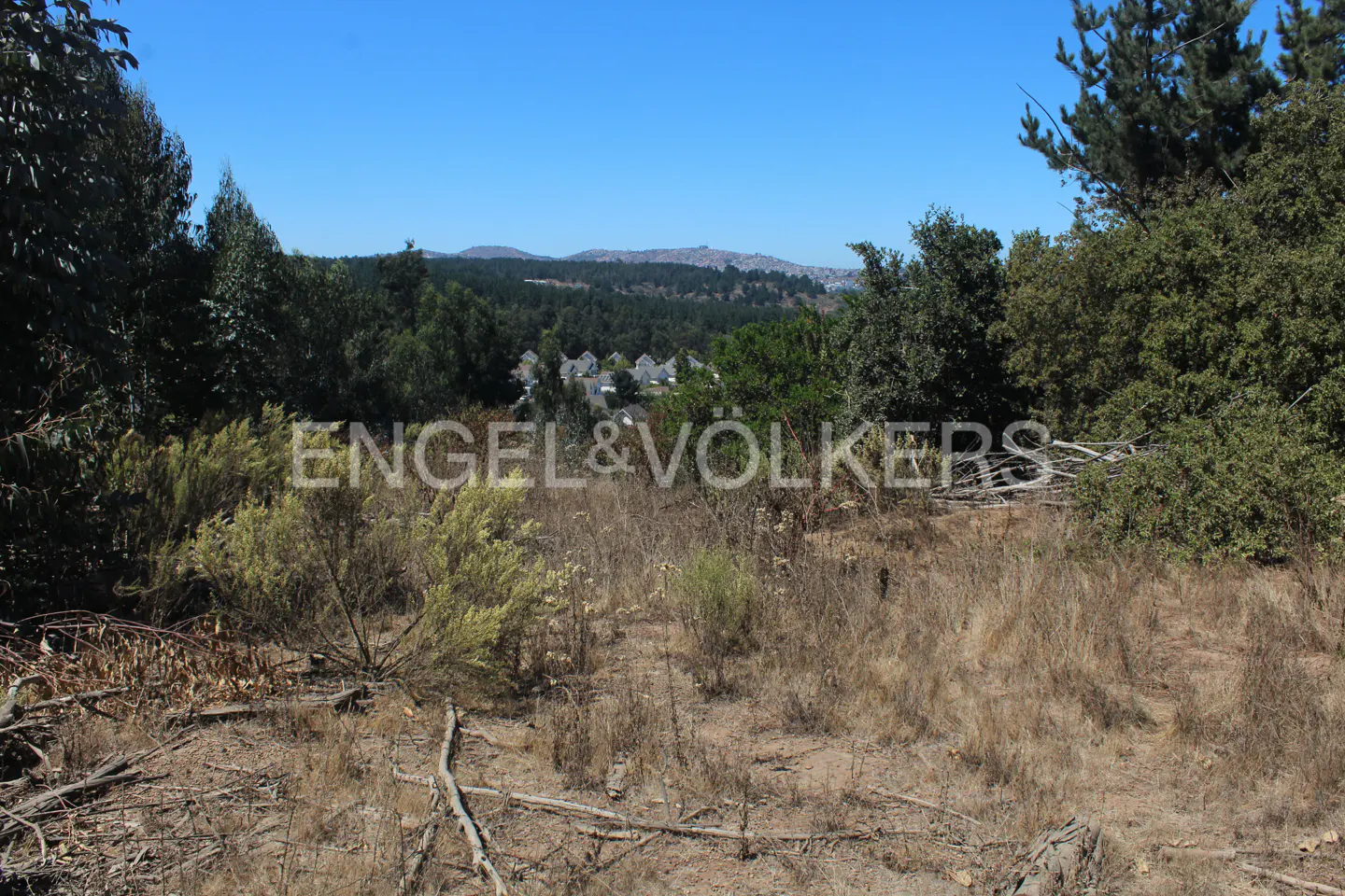 A scenic view of a wooded lot with dry grass, trees, and a distant view of houses and mountains under a blue sky.