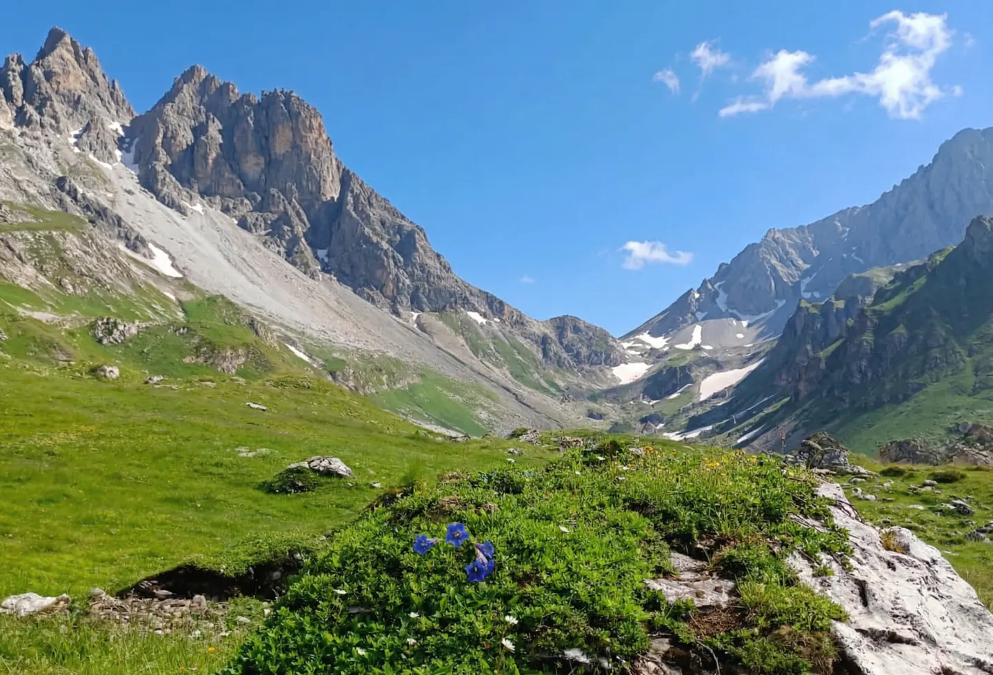 Scenic mountain valley with green grass, wildflowers, and rocky peaks under a blue sky.