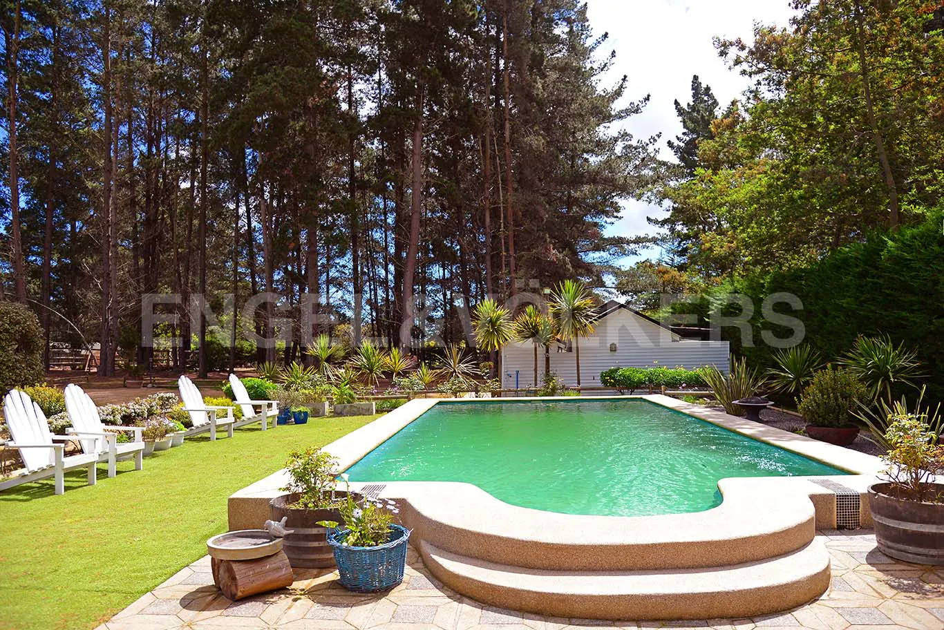 A backyard with a green pool, white chairs on the grass, and tall trees in the background.