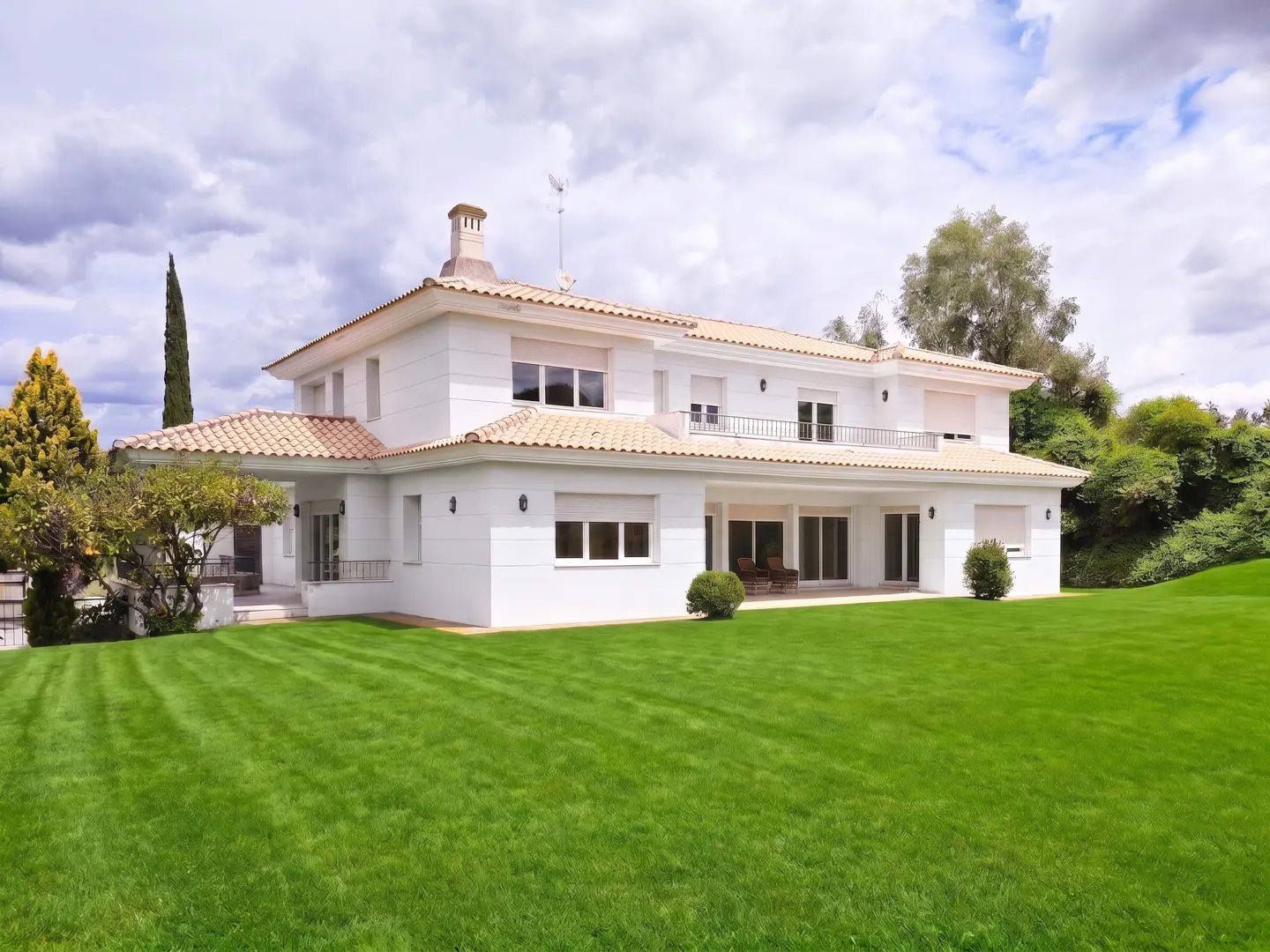 [AI-generated photo] [AI-generated photo]