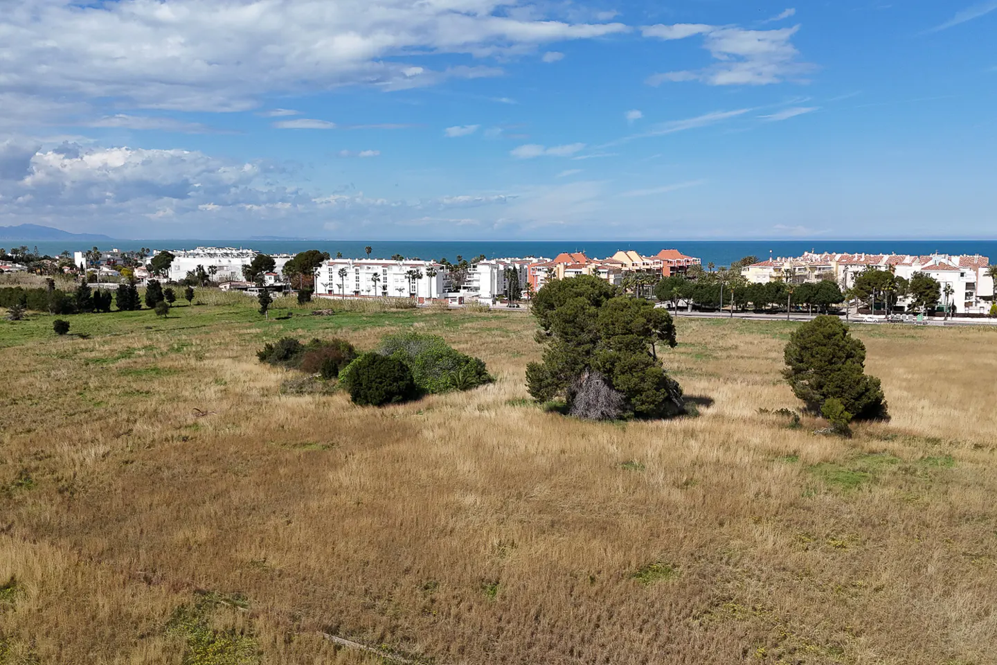 A field of dry grass with trees, buildings, and the ocean in the background under a blue sky.