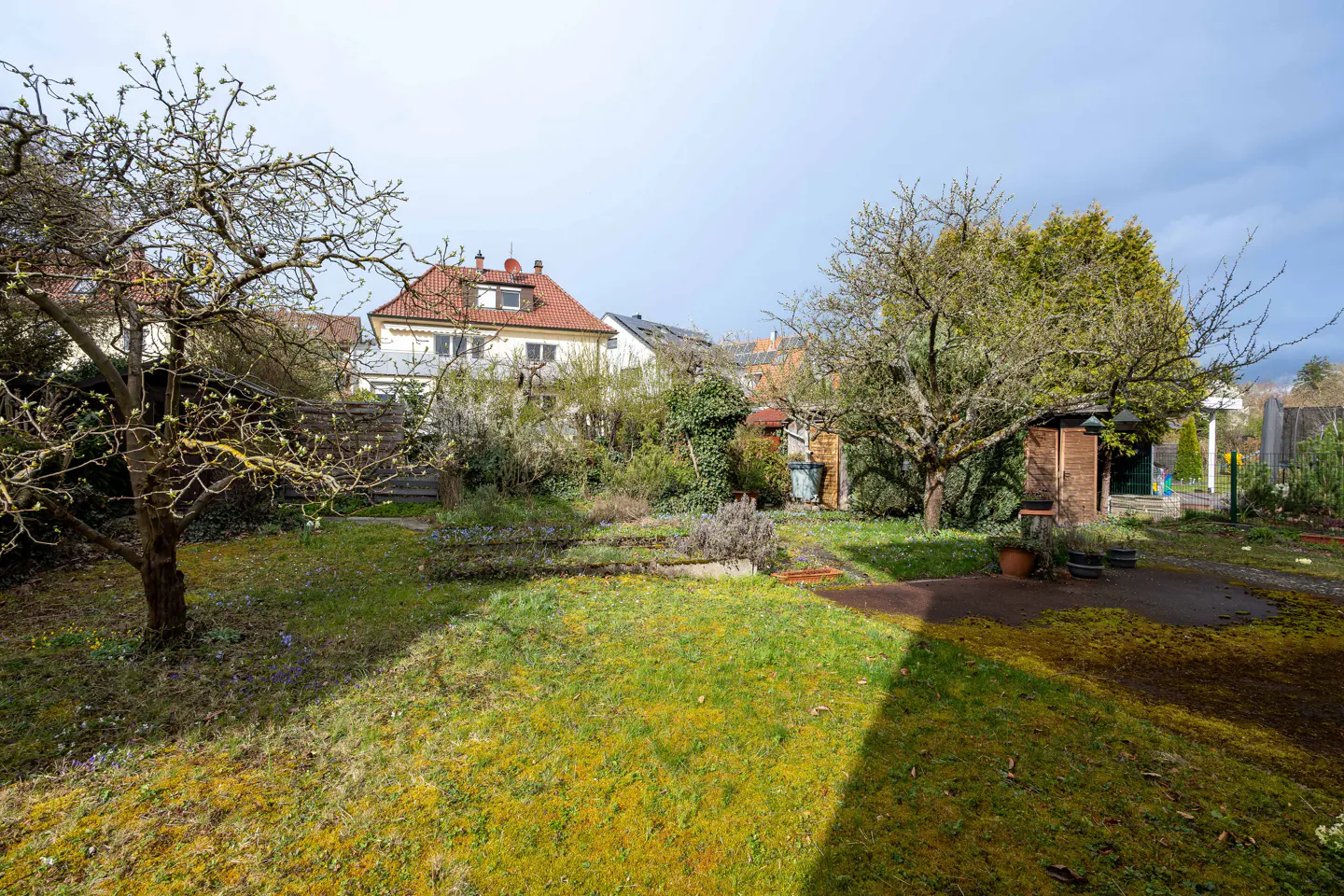 A backyard with green grass, trees, a shed, and a house in the background.
