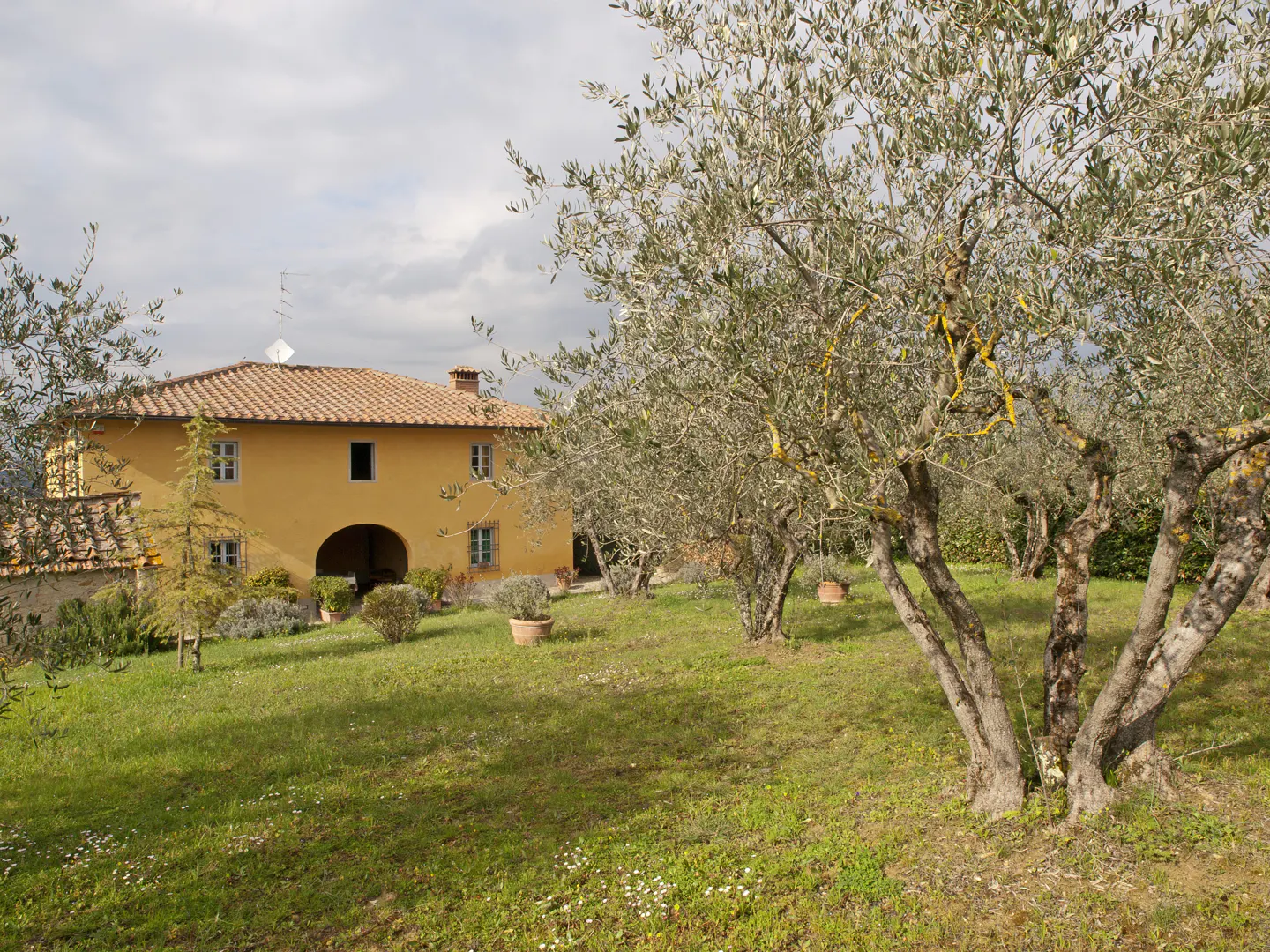 Tuscan-style yellow house with a red tile roof, surrounded by olive trees and a green lawn.