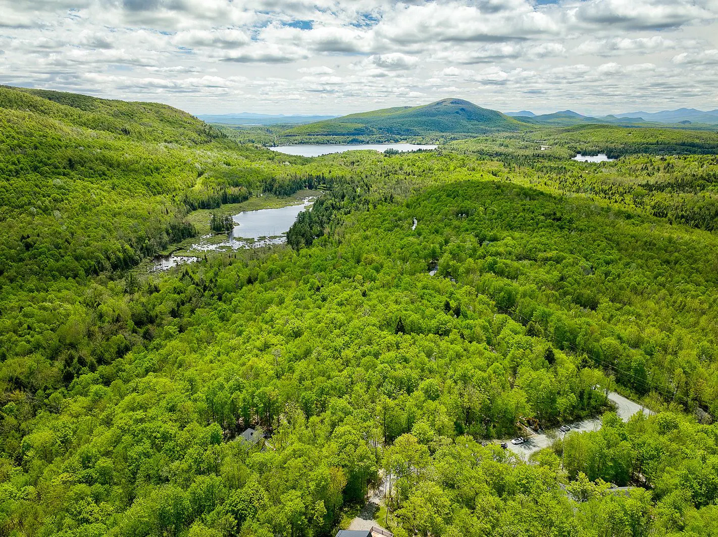 Aerial view of lush green forest with lakes and mountains under a cloudy sky.