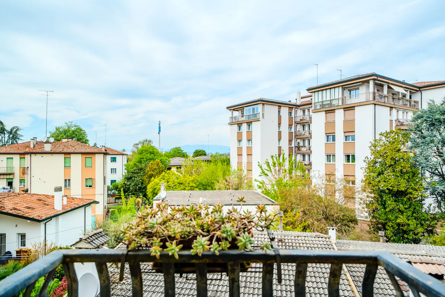 View from a balcony with a succulent planter, overlooking buildings and trees under a cloudy sky.