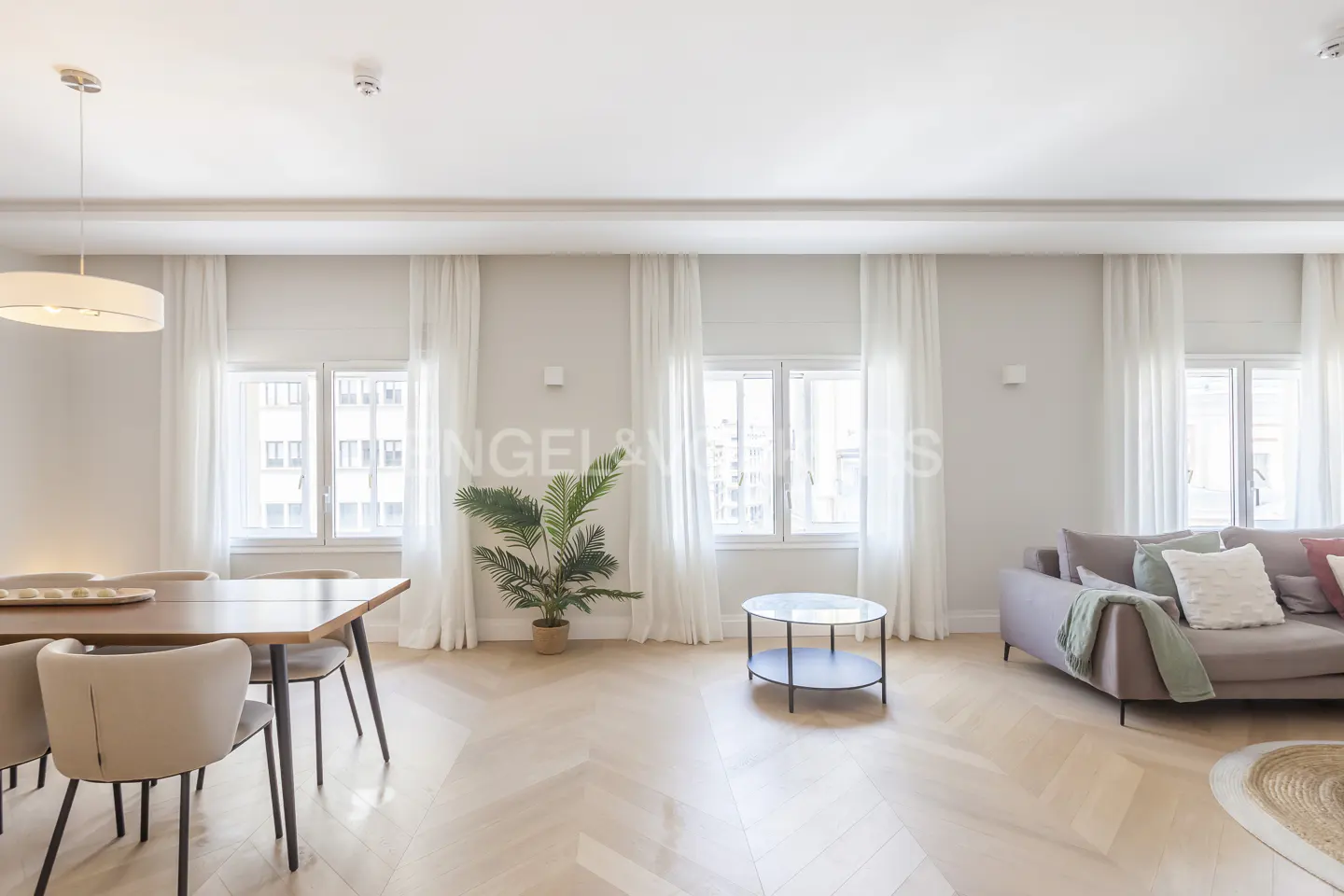 Bright living space with wood floors, dining table, sofa, and large windows with white curtains. A potted plant adds a touch of nature.