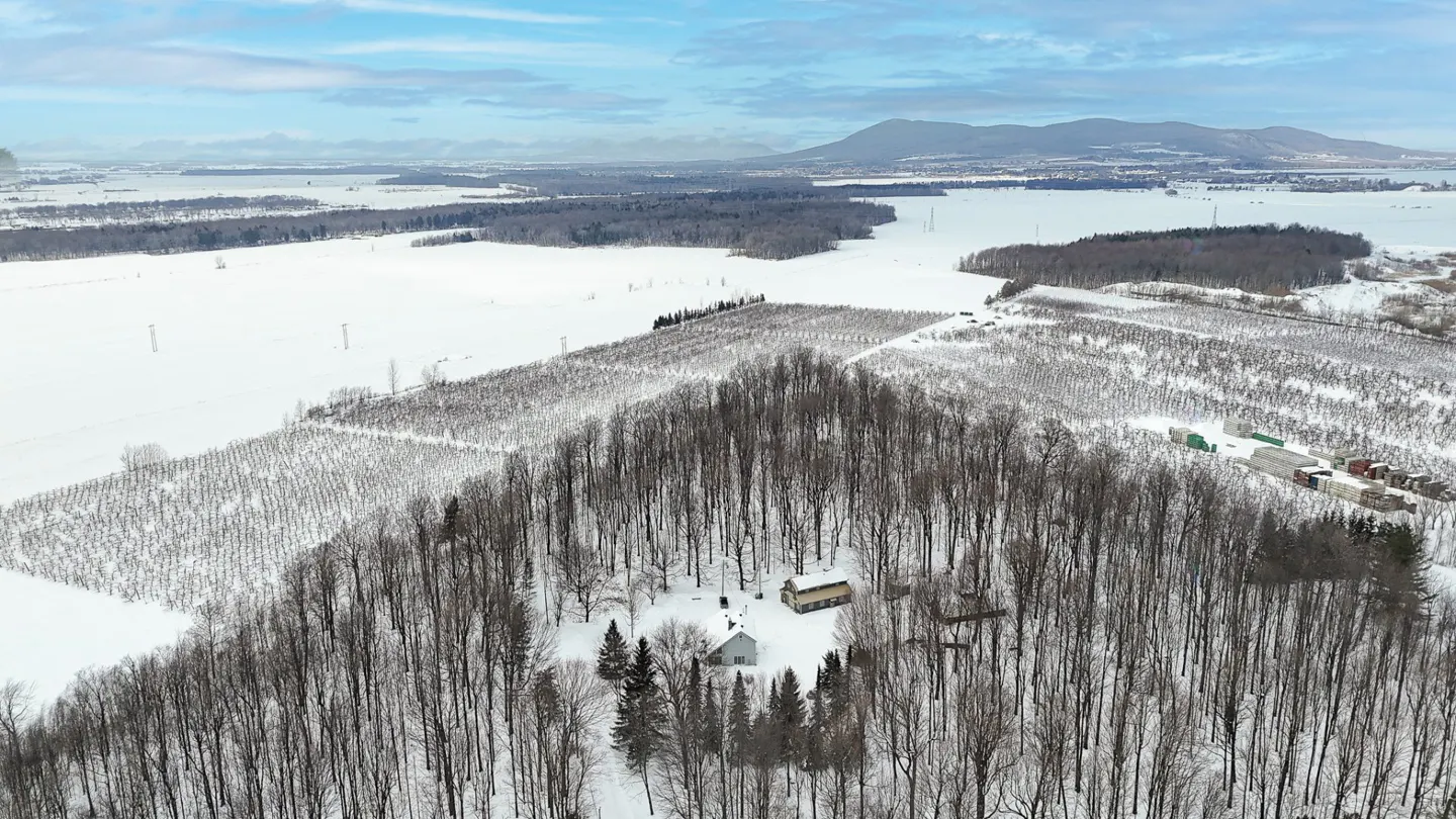 Aerial view of a snow-covered landscape with a house nestled in a forest, fields, and distant mountains under a blue sky.