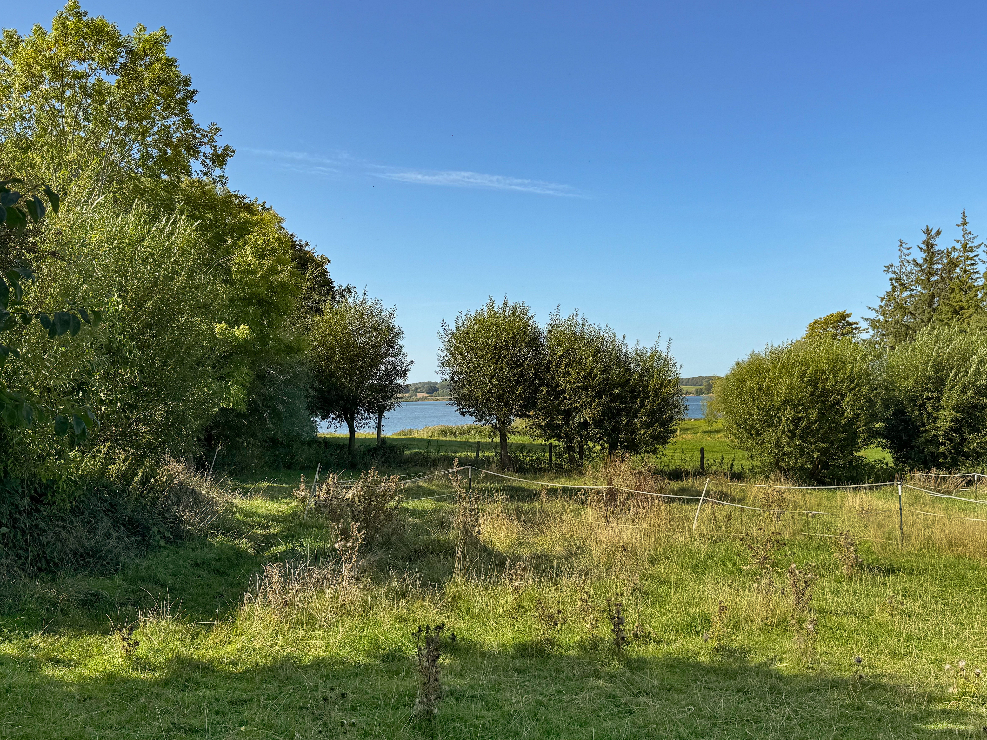 Großzügiges Grundstück mit Schleiblick und Altbestand