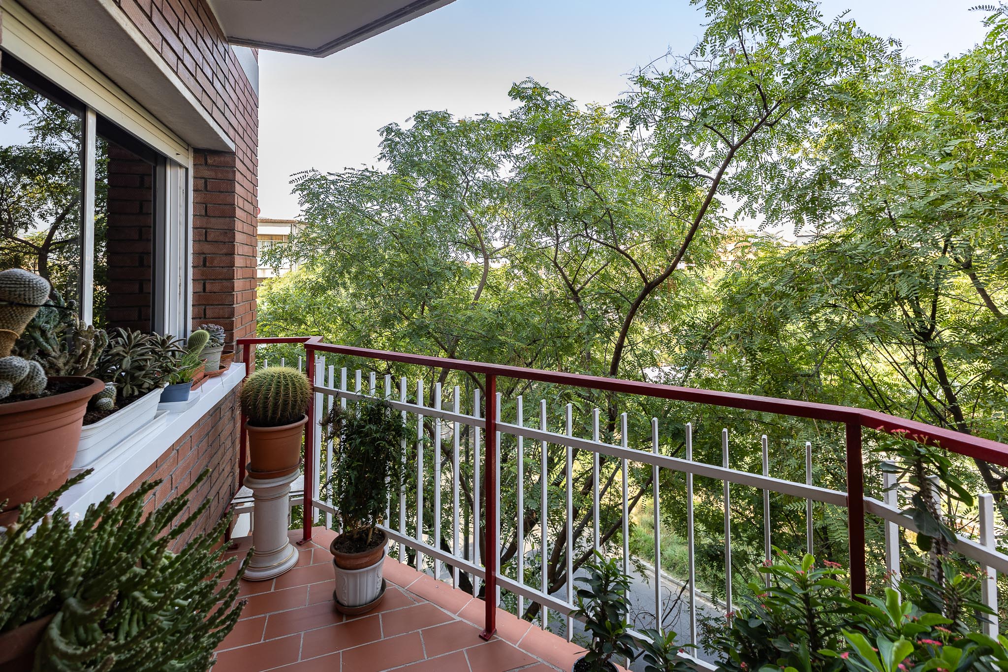 4-bedroom opportunity in L'Hospitalet