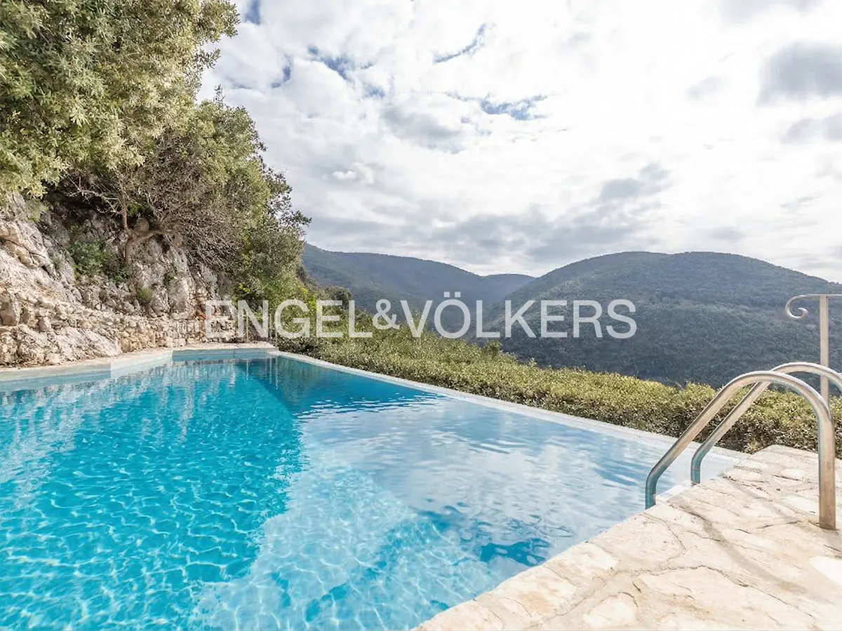 Infinity pool with blue water, stone deck, and metal ladder overlooks green hills under a cloudy sky. Trees line the left side.