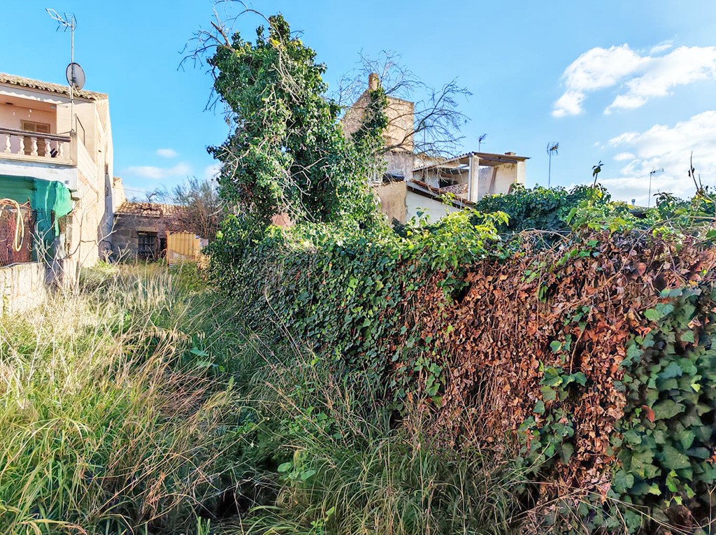 Städtisches Grundstück mit Blick in Llucmajor