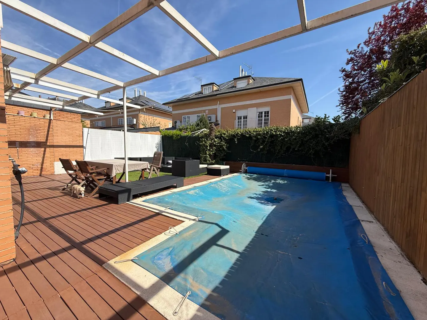 Backyard with a covered pool, wooden deck, table, chairs, and a small dog under a white pergola. A house is visible in the background.