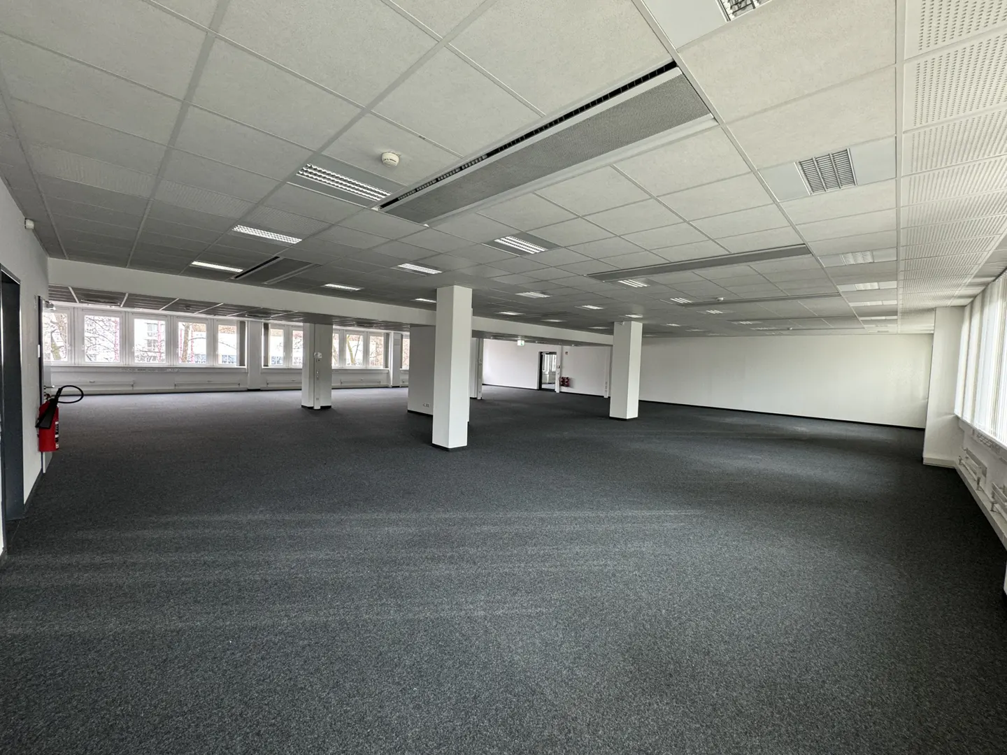 Bright, empty office space with gray carpet, white walls and ceiling, and large windows. White support columns are spaced throughout the room.