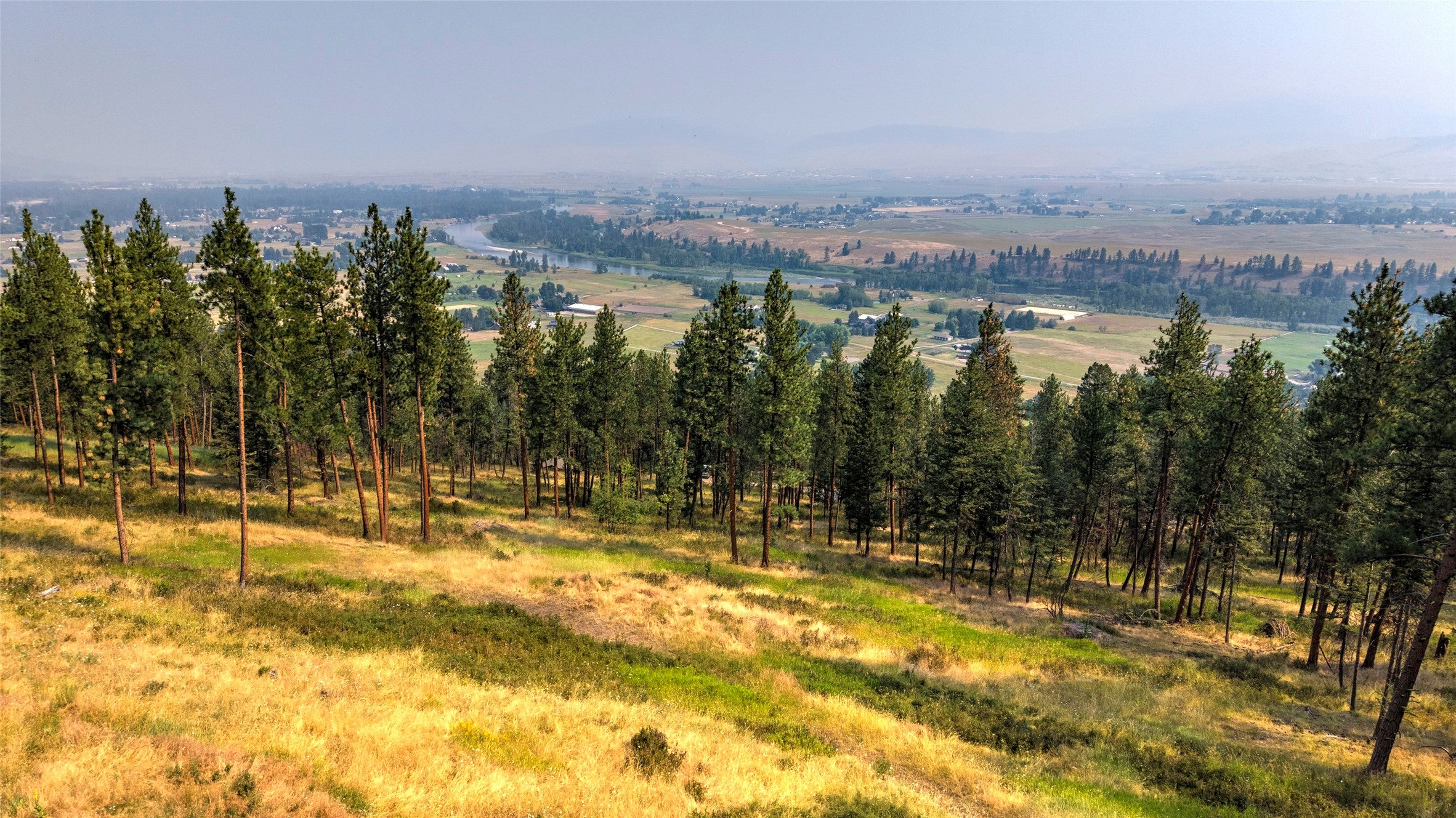 Pristine 5 Acre Lot Ready for Your Dream Home