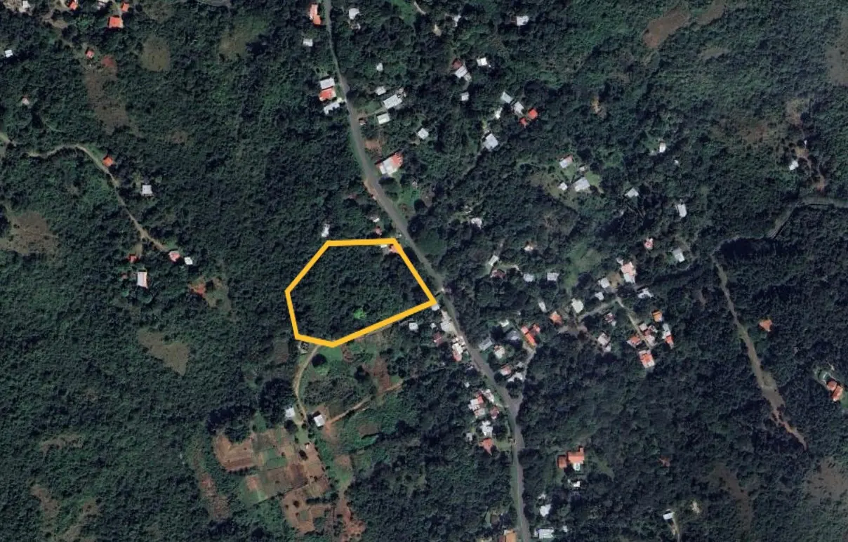 Aerial view of a wooded lot outlined in yellow, surrounded by trees and houses. A road runs along one side of the property.