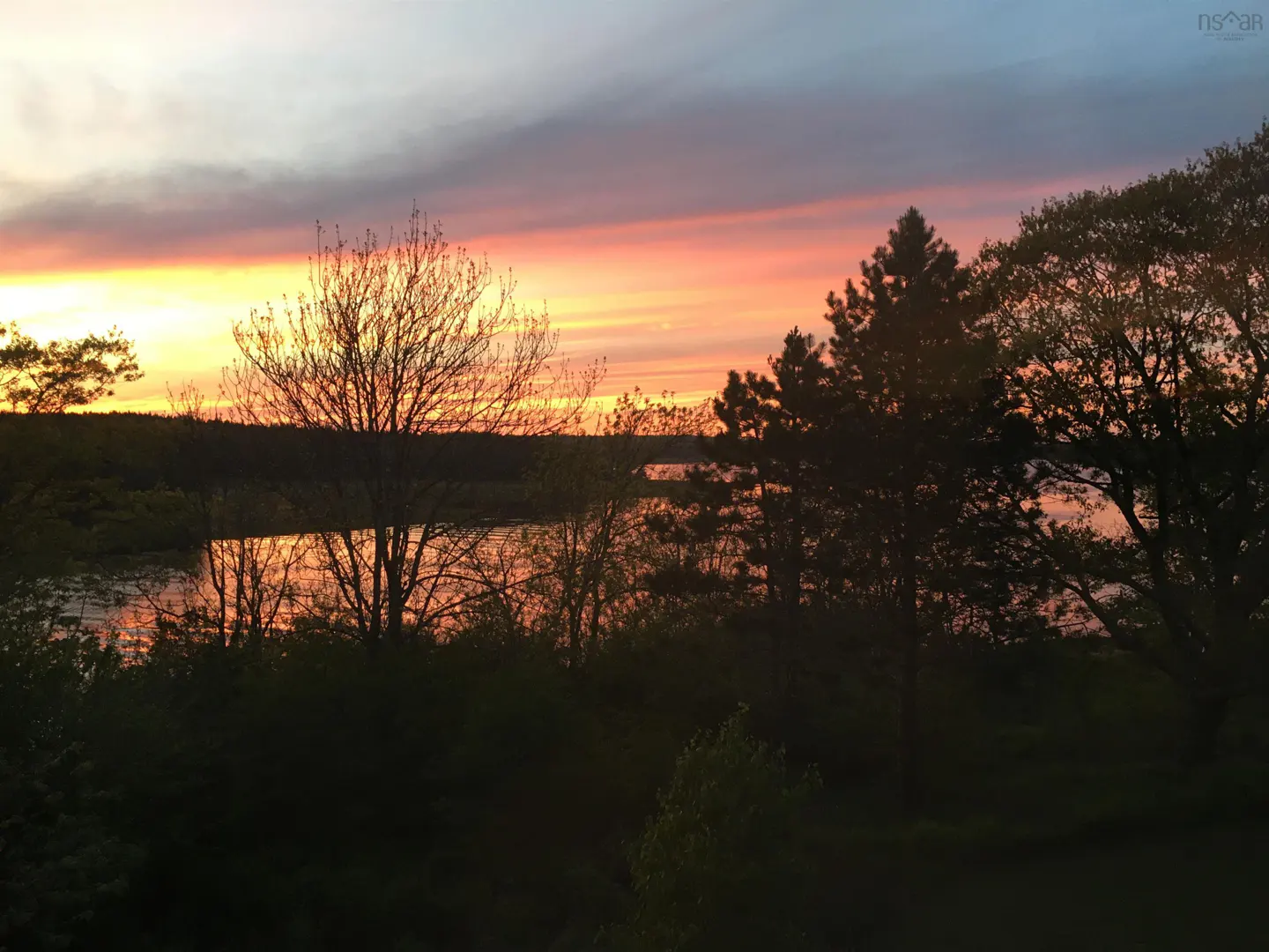 Sunset over a lake, with trees silhouetted in the foreground. The sky is a mix of orange, pink, and purple.