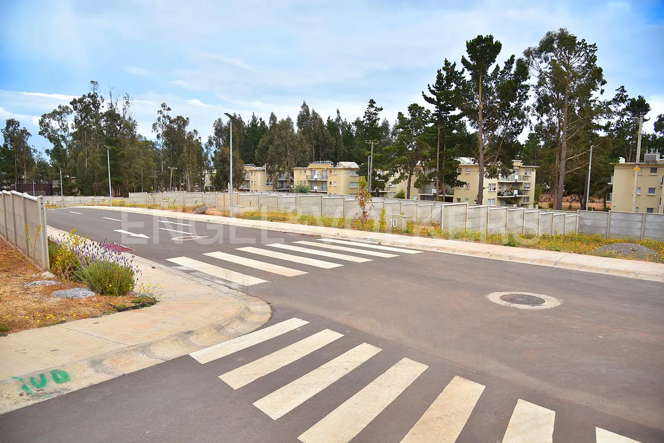 Street view of a crosswalk in front of apartment buildings with a concrete fence and tall trees.