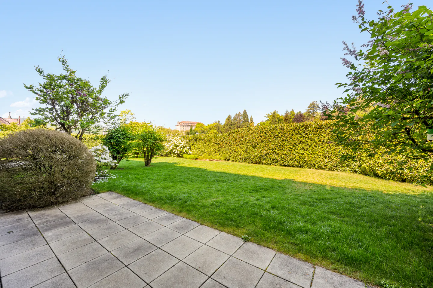 A backyard with a gray stone patio, green grass, trees, and a tall green hedge under a blue sky.