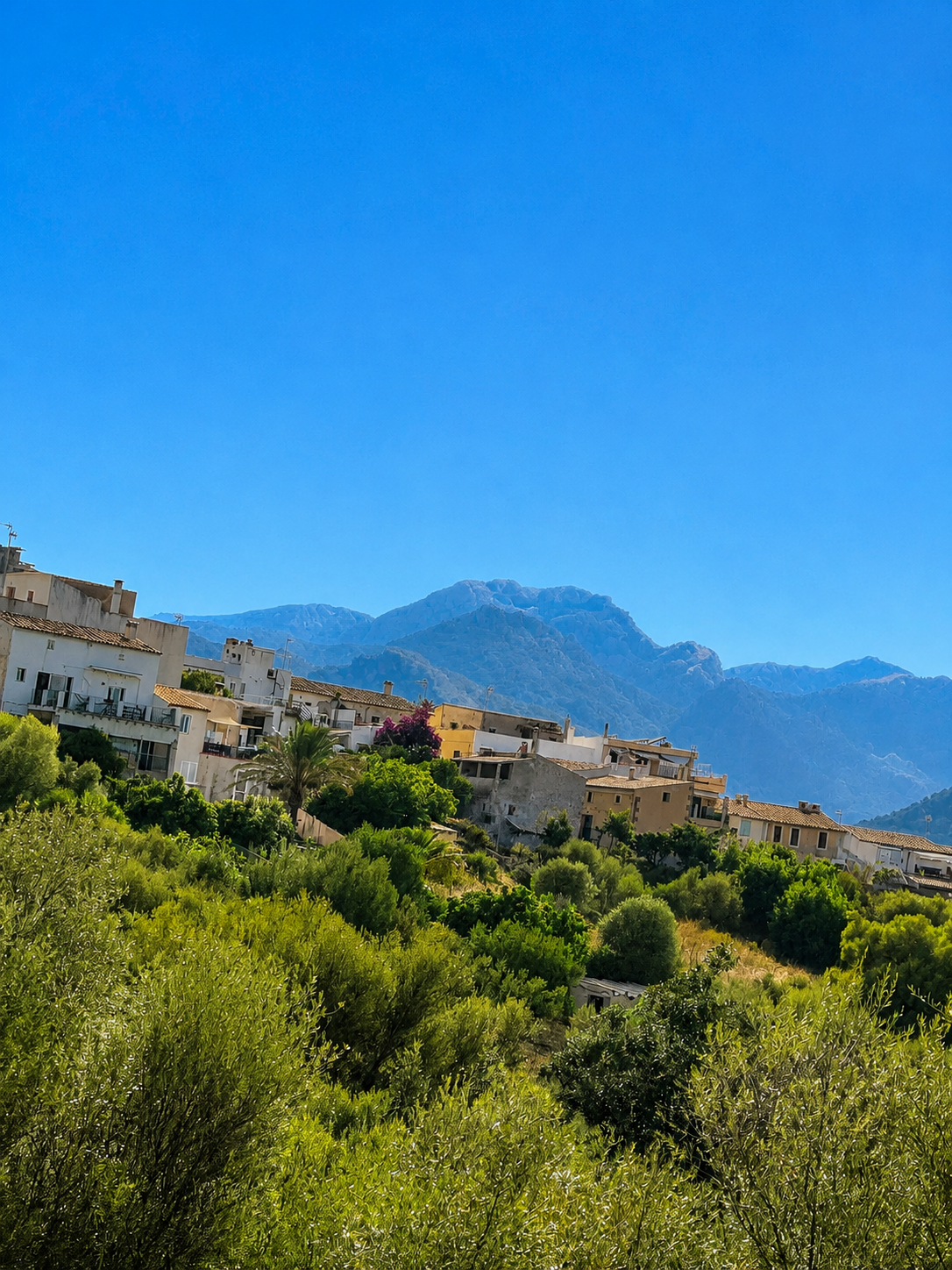 Urban plots with views – Investment opportunity in Campanet