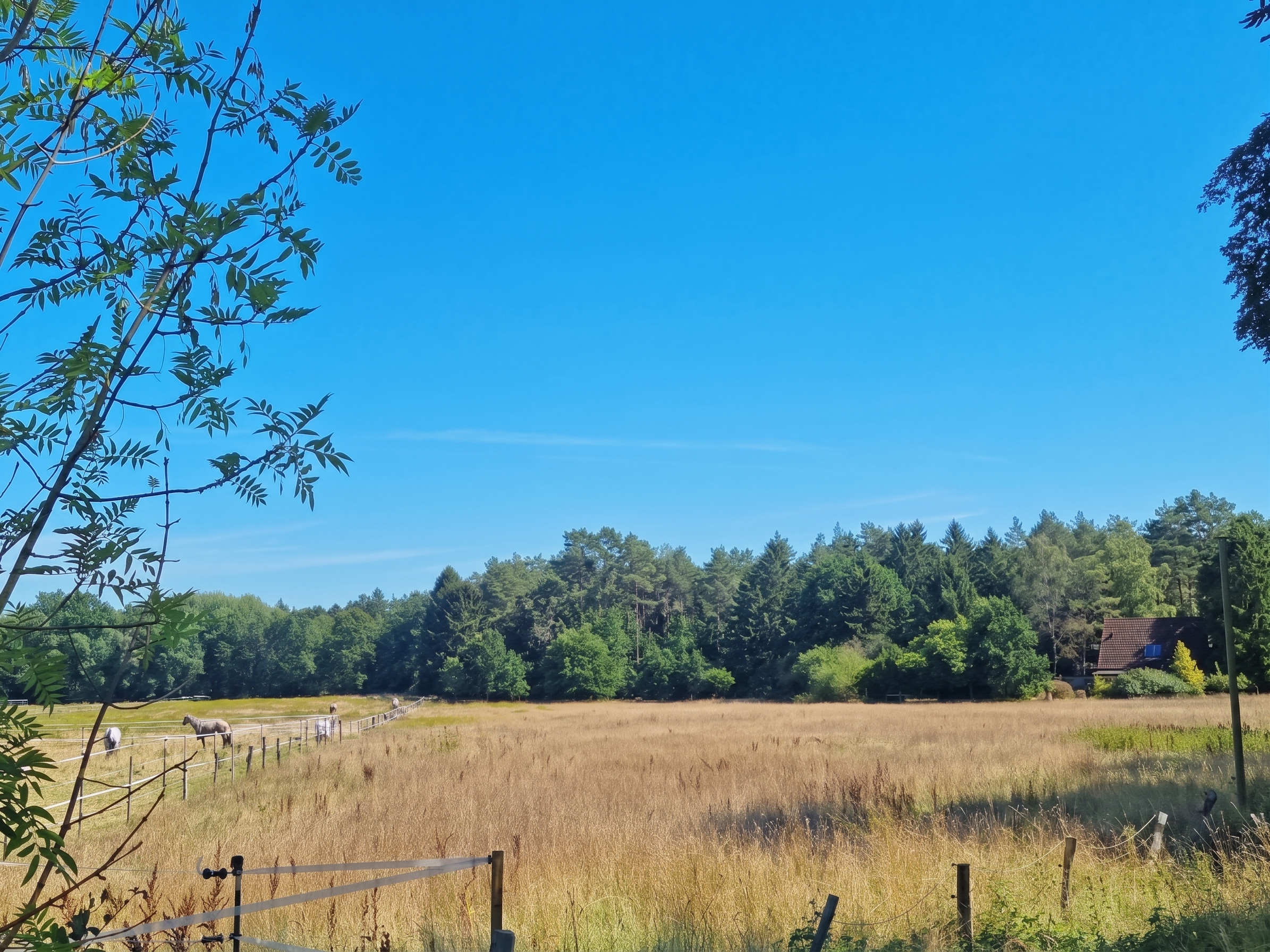 Ein Ort für Visionen: Einzigartiges Sanierungsobjekt mit ca. 11.500 m² Grundstück