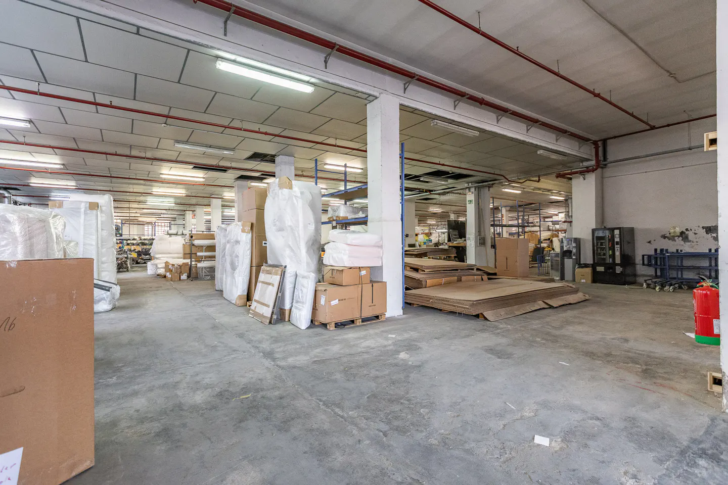 Spacious industrial warehouse with concrete floors, stacked cardboard boxes, wrapped pallets, and exposed red ceiling pipes.