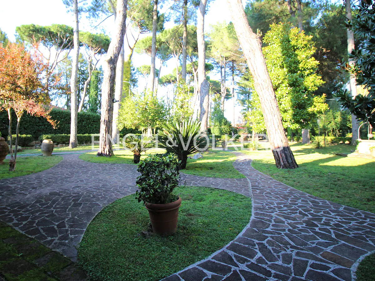 A stone-paved path winds through a lush, sunlit garden filled with tall pine trees, shrubs, and potted plants.
