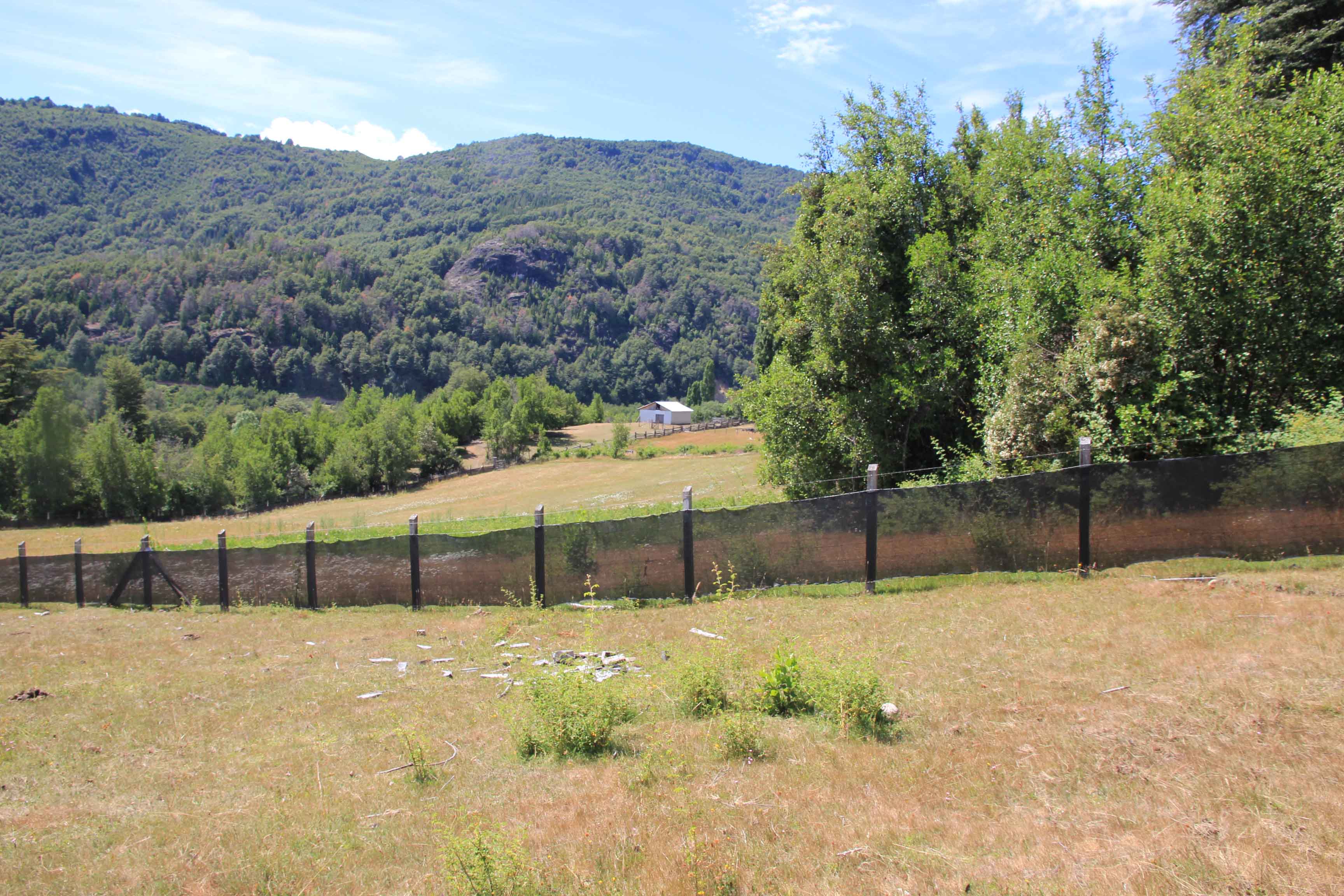 CAMPO DE 326 HECTÁREAS EN LLANADA GRANDE, COCHAMÓ.