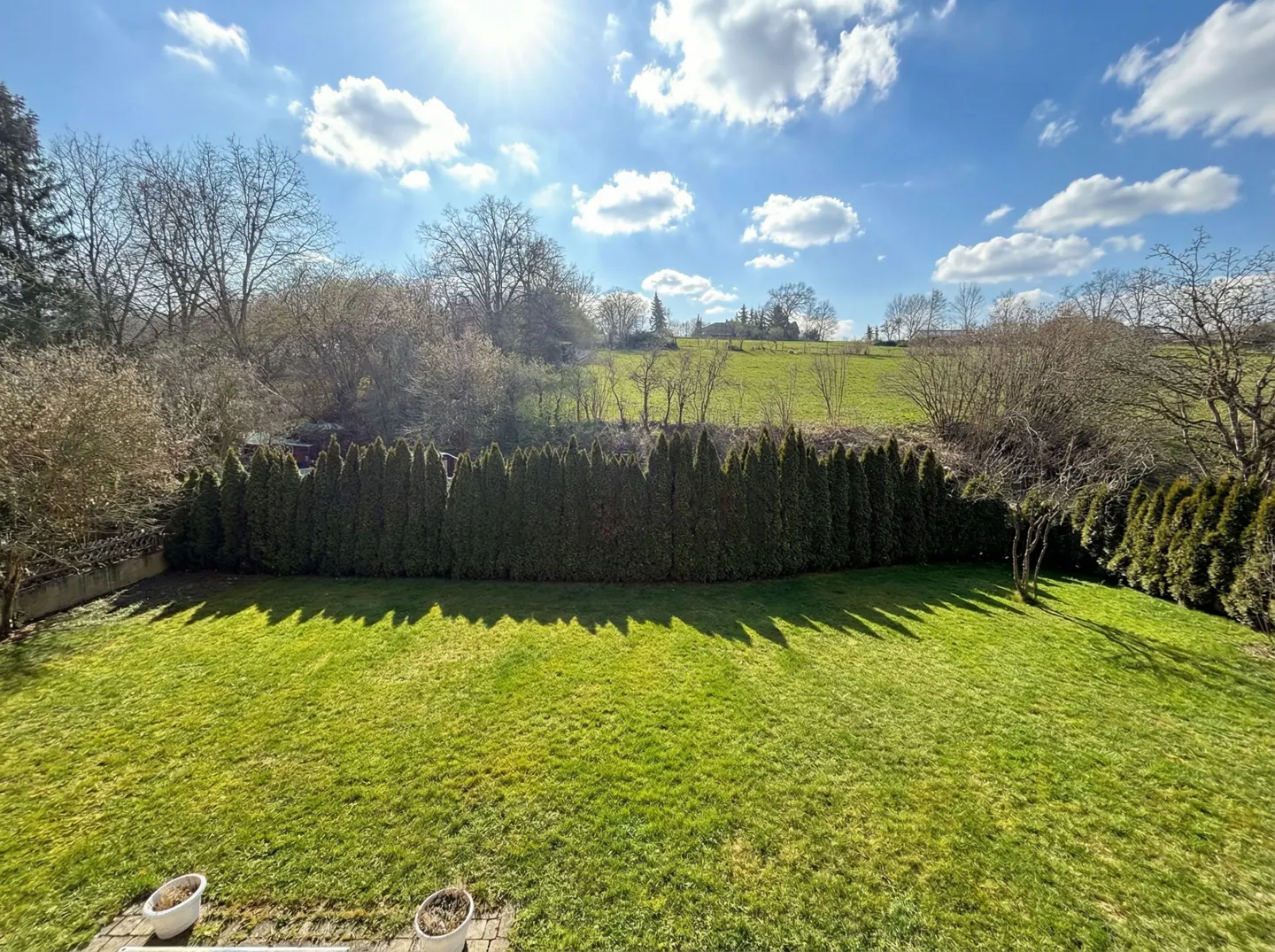 A sunny view of a green lawn bordered by tall, dark green trees, with a grassy hill and blue sky in the background.