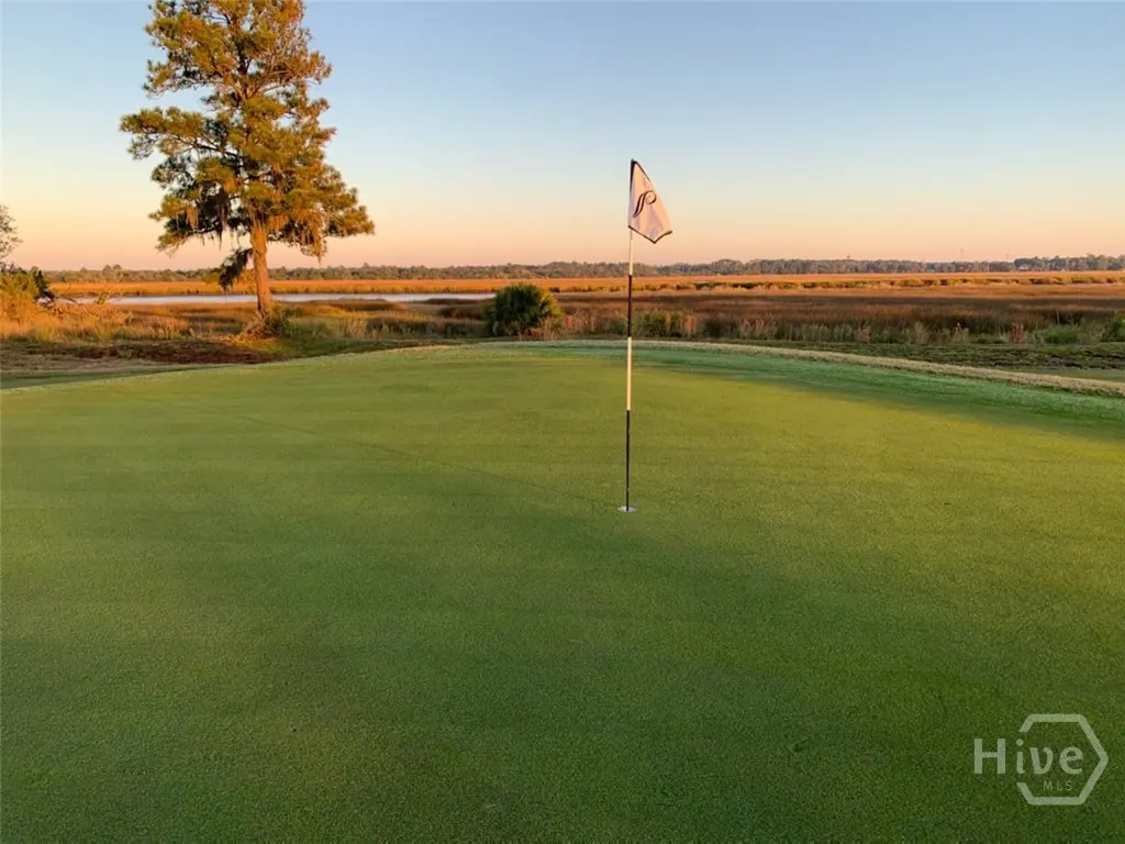 Golf course green with a flag in the hole, a tree on the left, and a marshy landscape in the background.