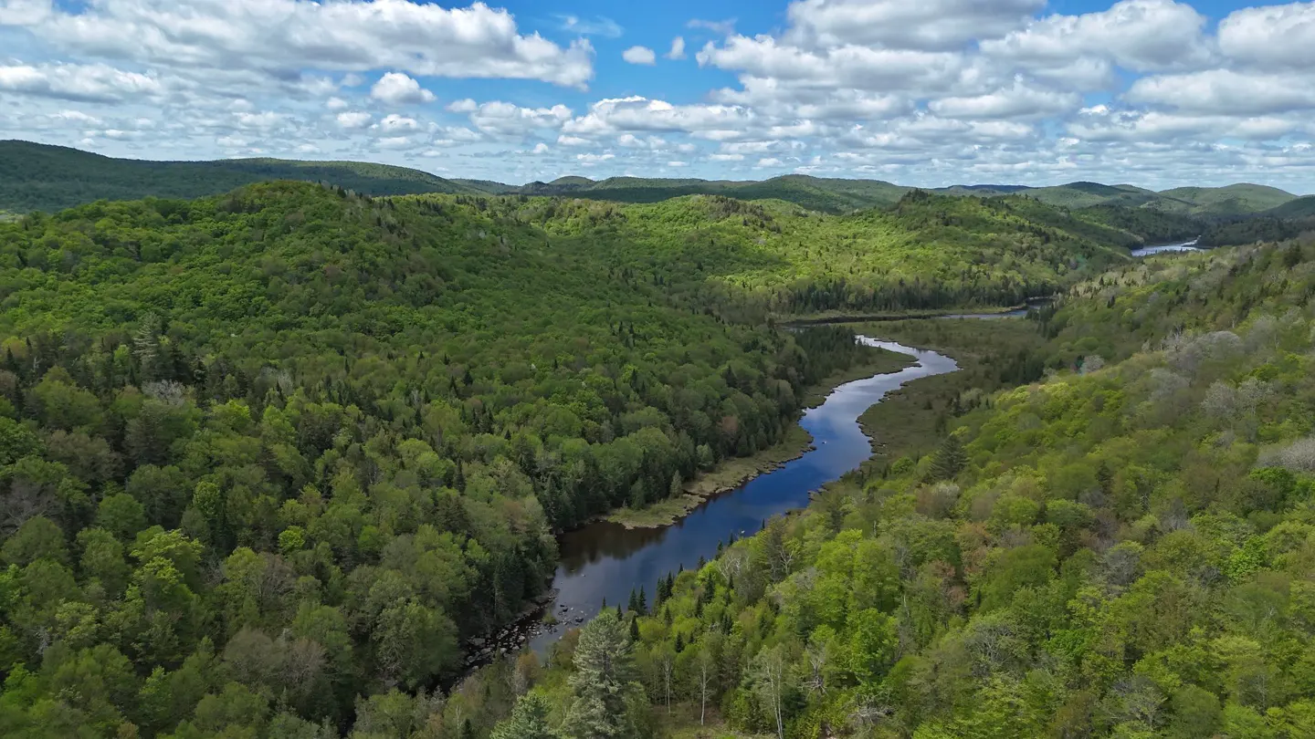 Aerial view of a winding river flowing through a lush green forest surrounded by rolling hills under a blue, cloudy sky.