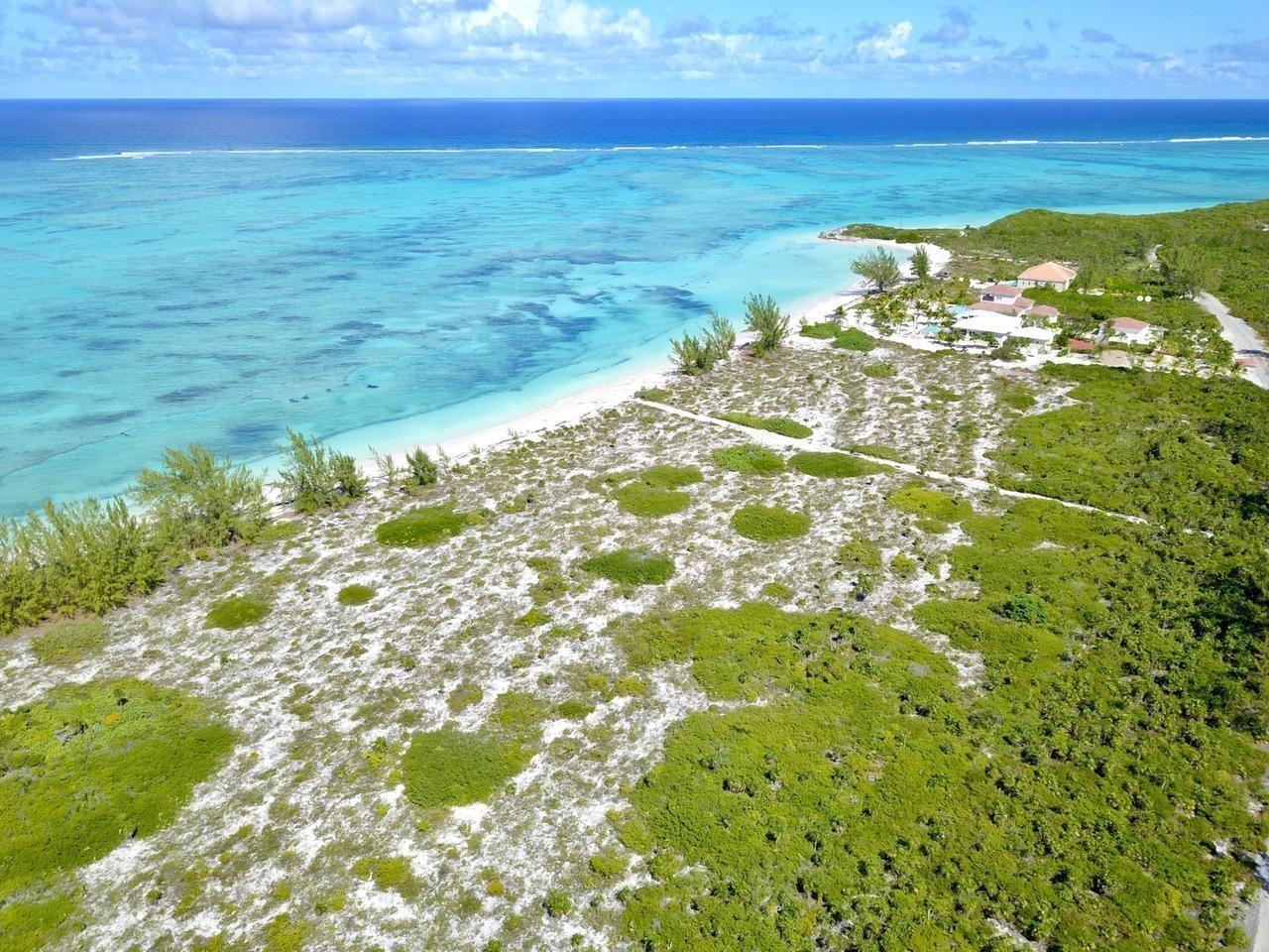 PUMPKIN BLUFF